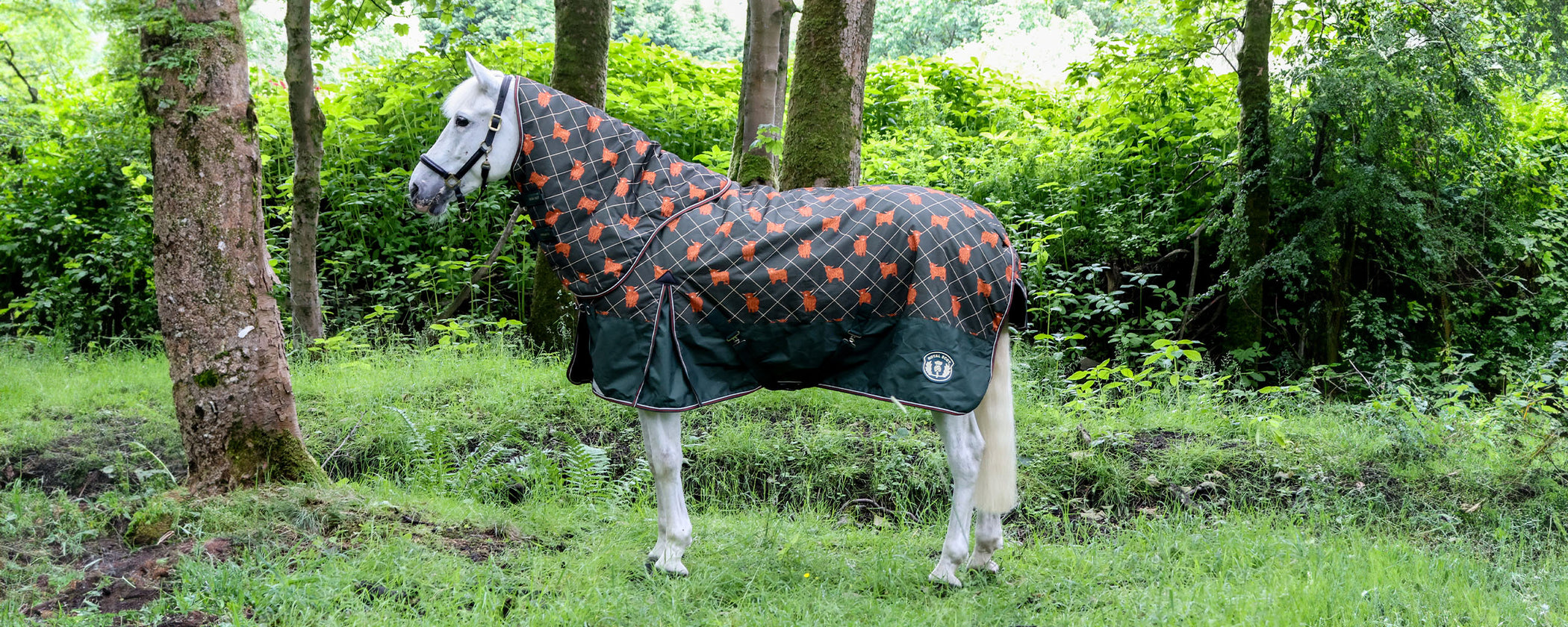 Naylors Equestrian | Tack & Saddlery | Equestrian Shop