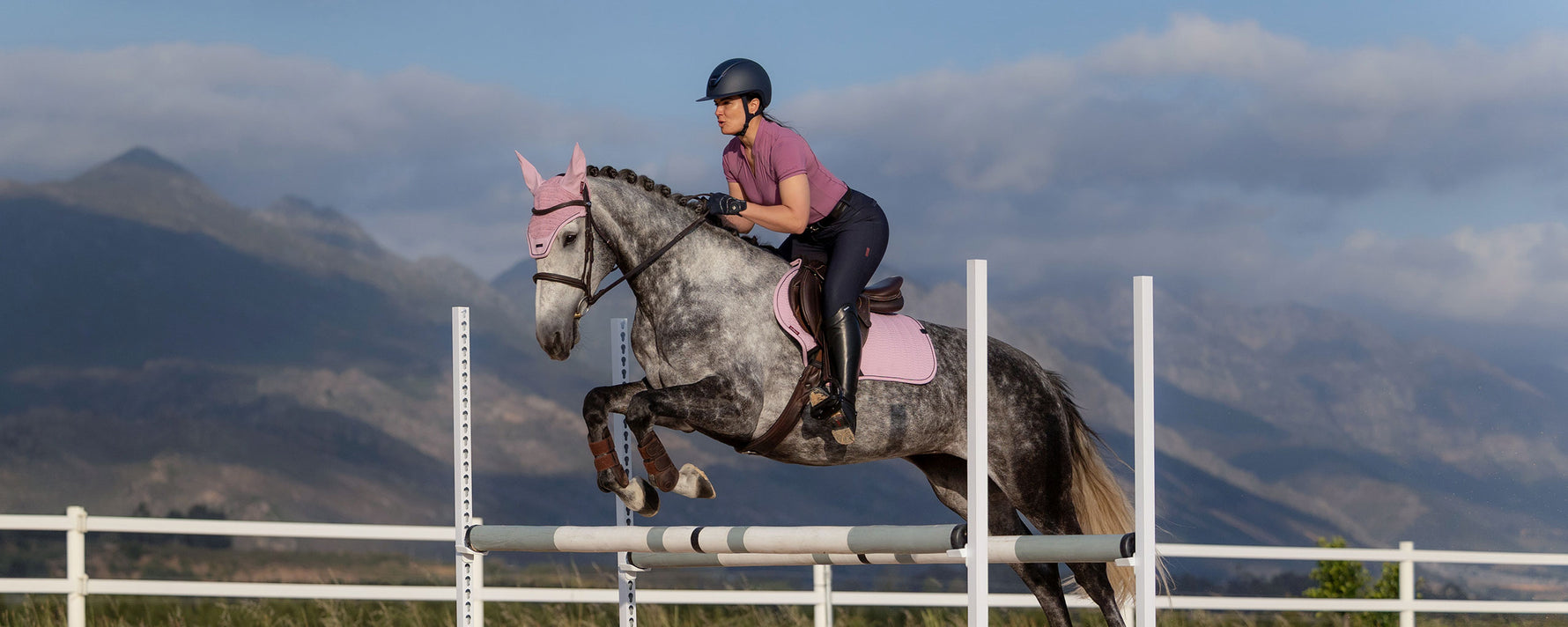 Naylors Equestrian | Tack & Saddlery | Equestrian Shop