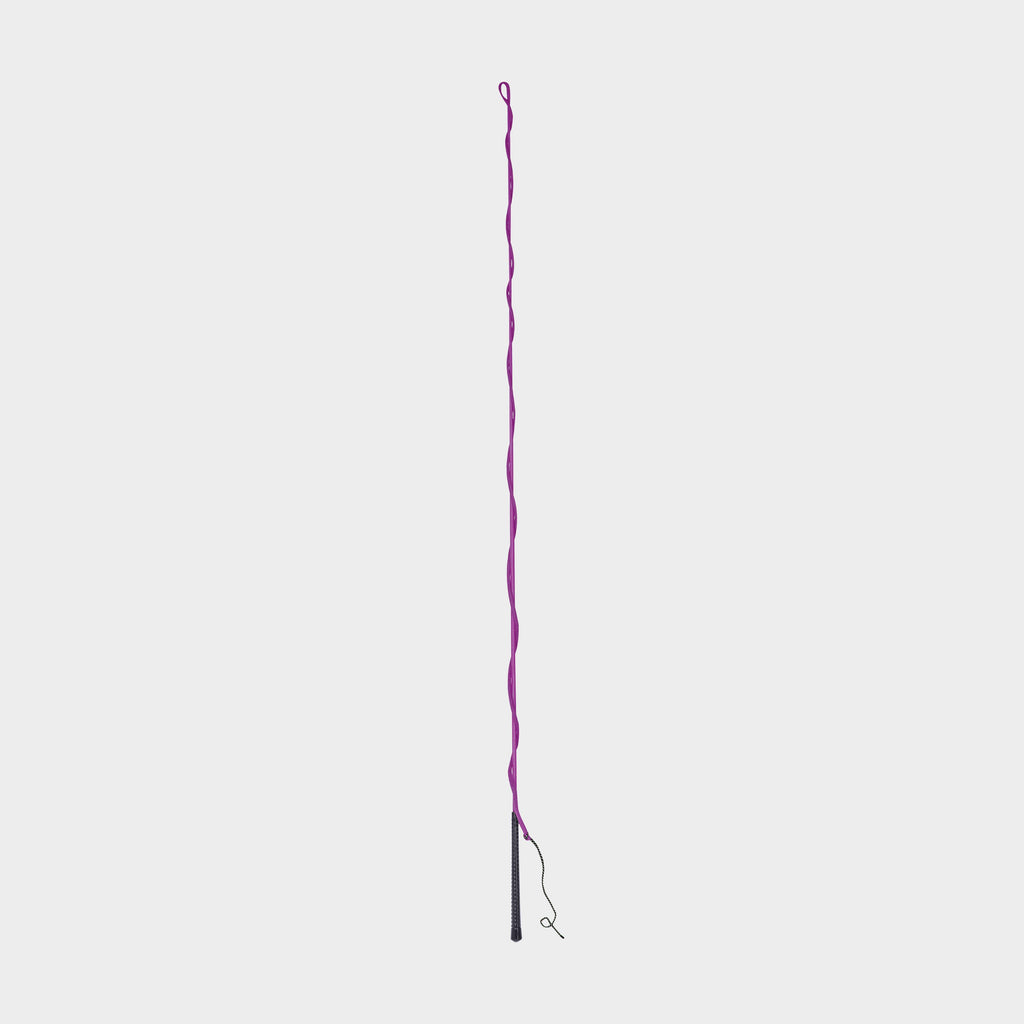 Brights Lunge Whip Purple
