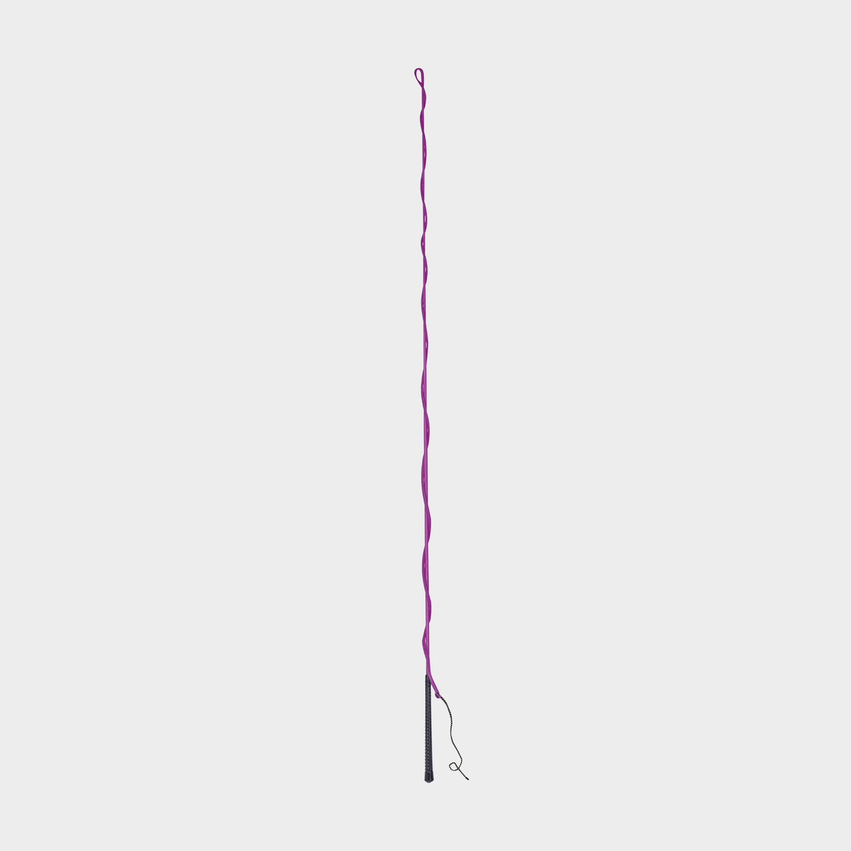 Brights Lunge Whip Purple
