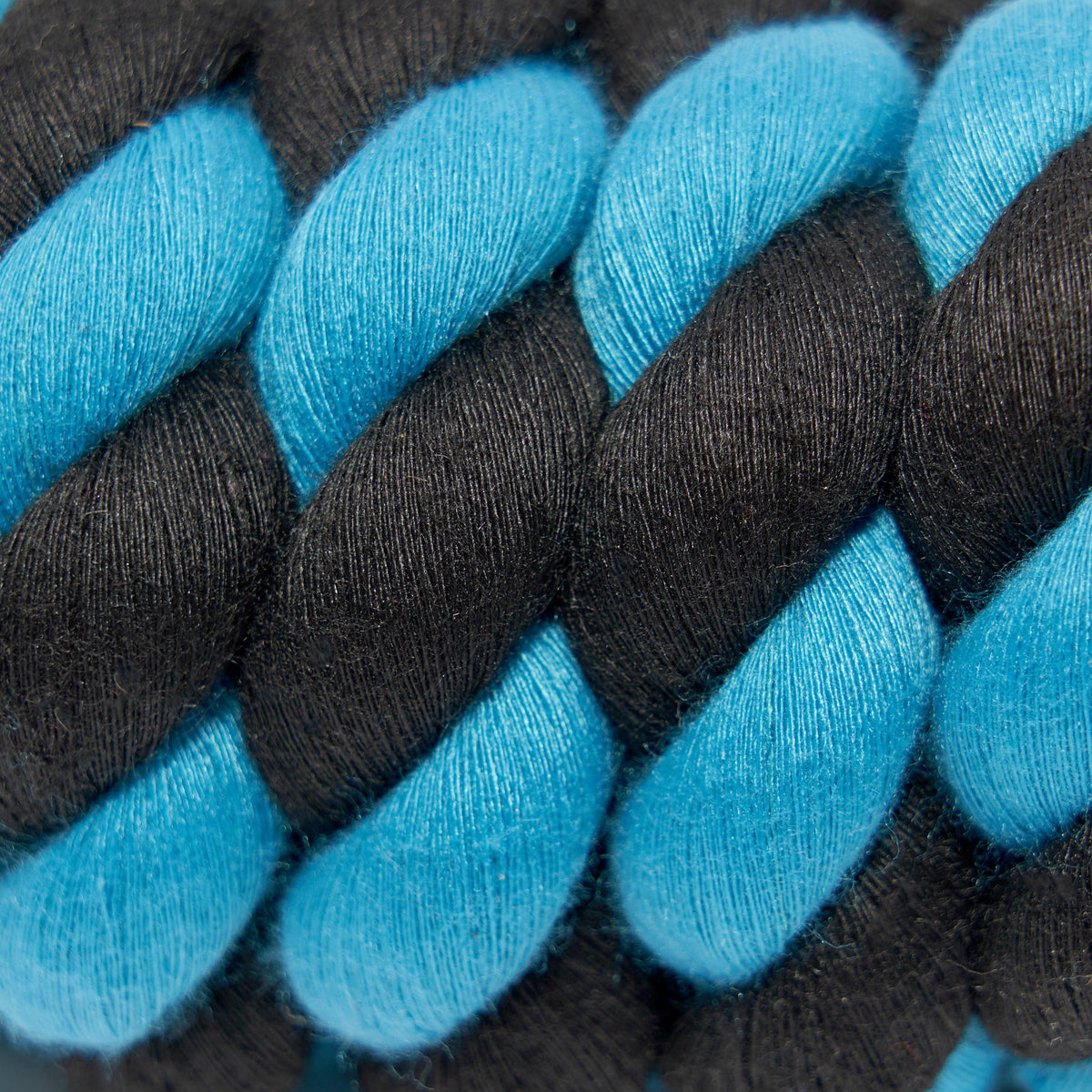 Two Tone Leadrope Blue/Black