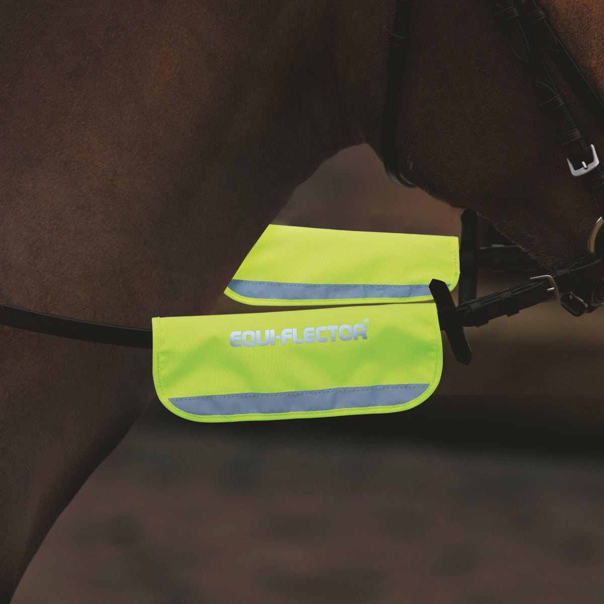 Bridle Bands Yellow