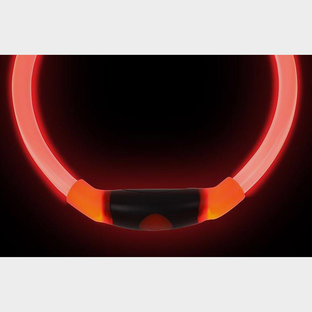 Nitehowl LED Safety Collar Red