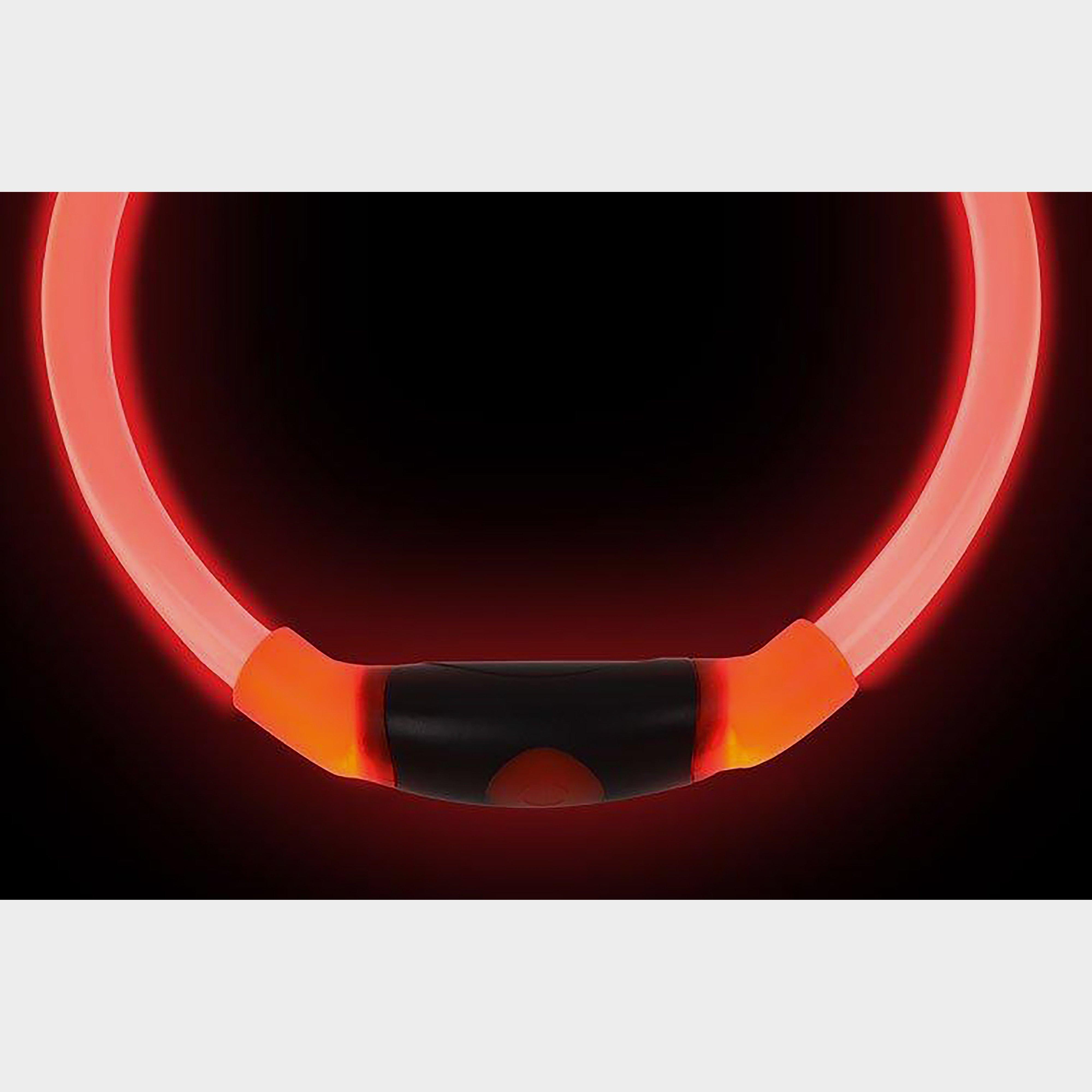 Nitehowl LED Safety Collar Red