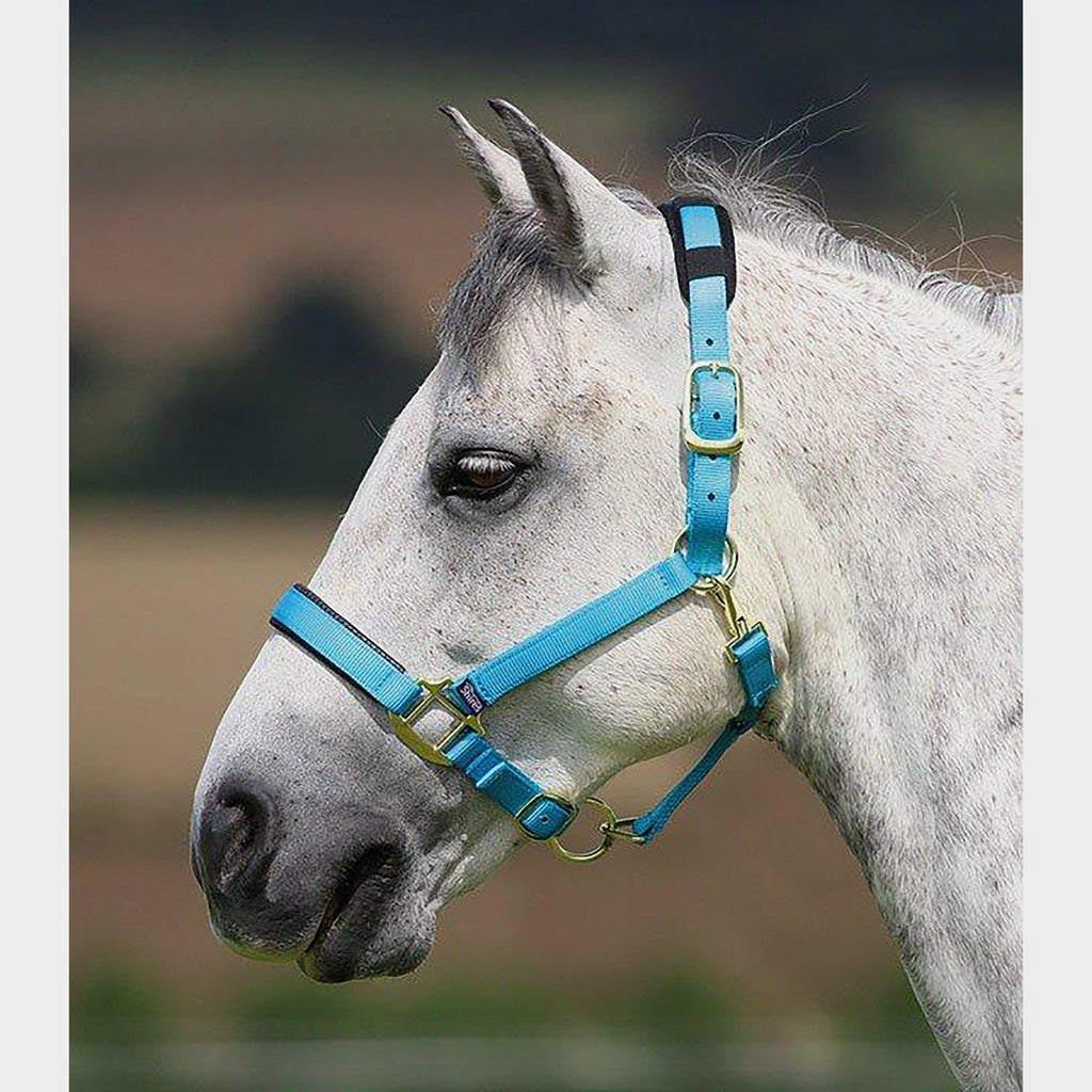 Topaz Nylon Headcollar Blue