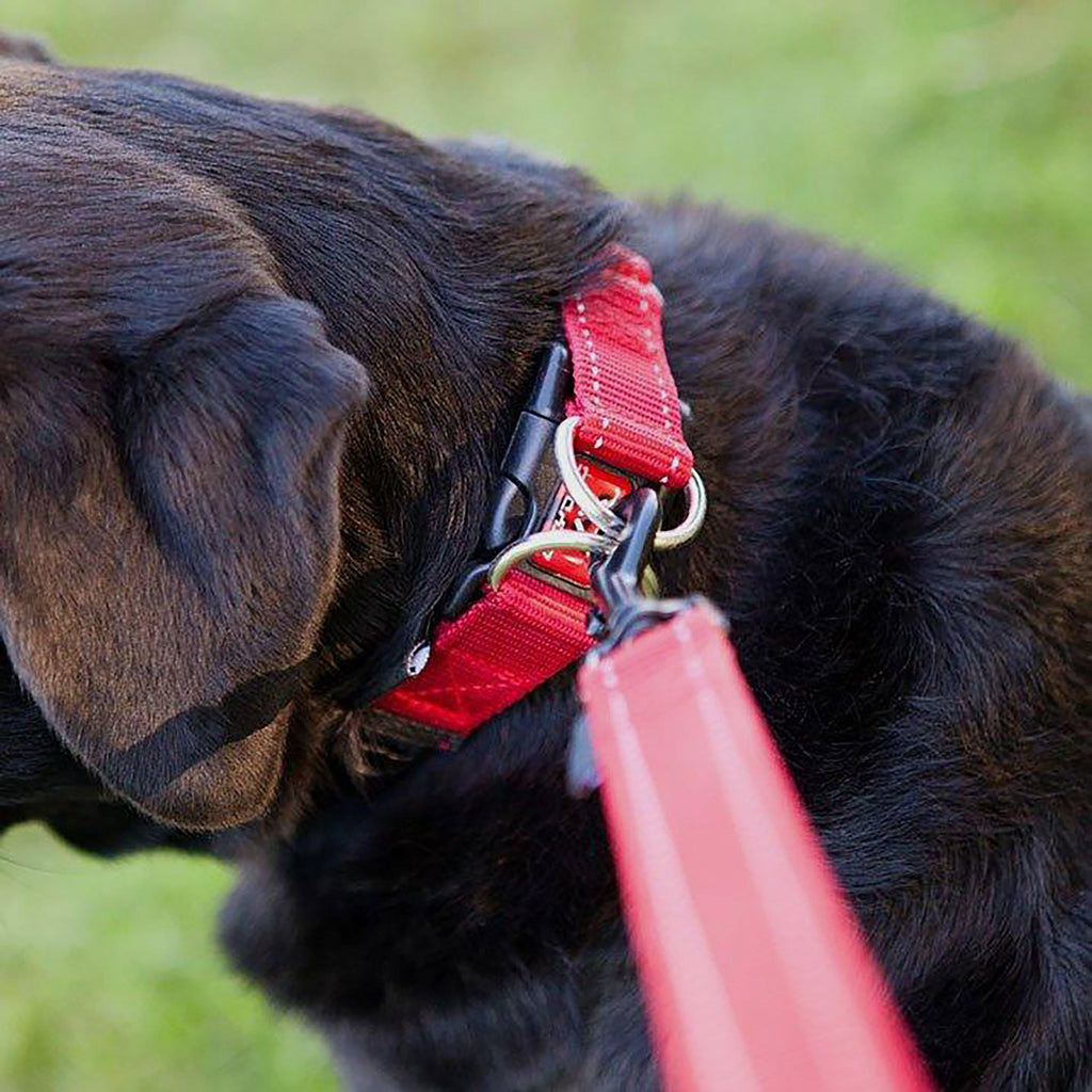 Double Up Collar Black Medium
