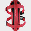 Chest Plate Harness Red Medium