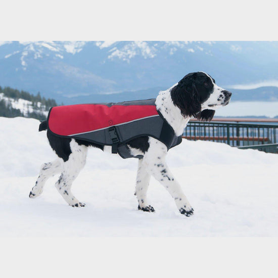 Element Dog Jacket Red/Grey