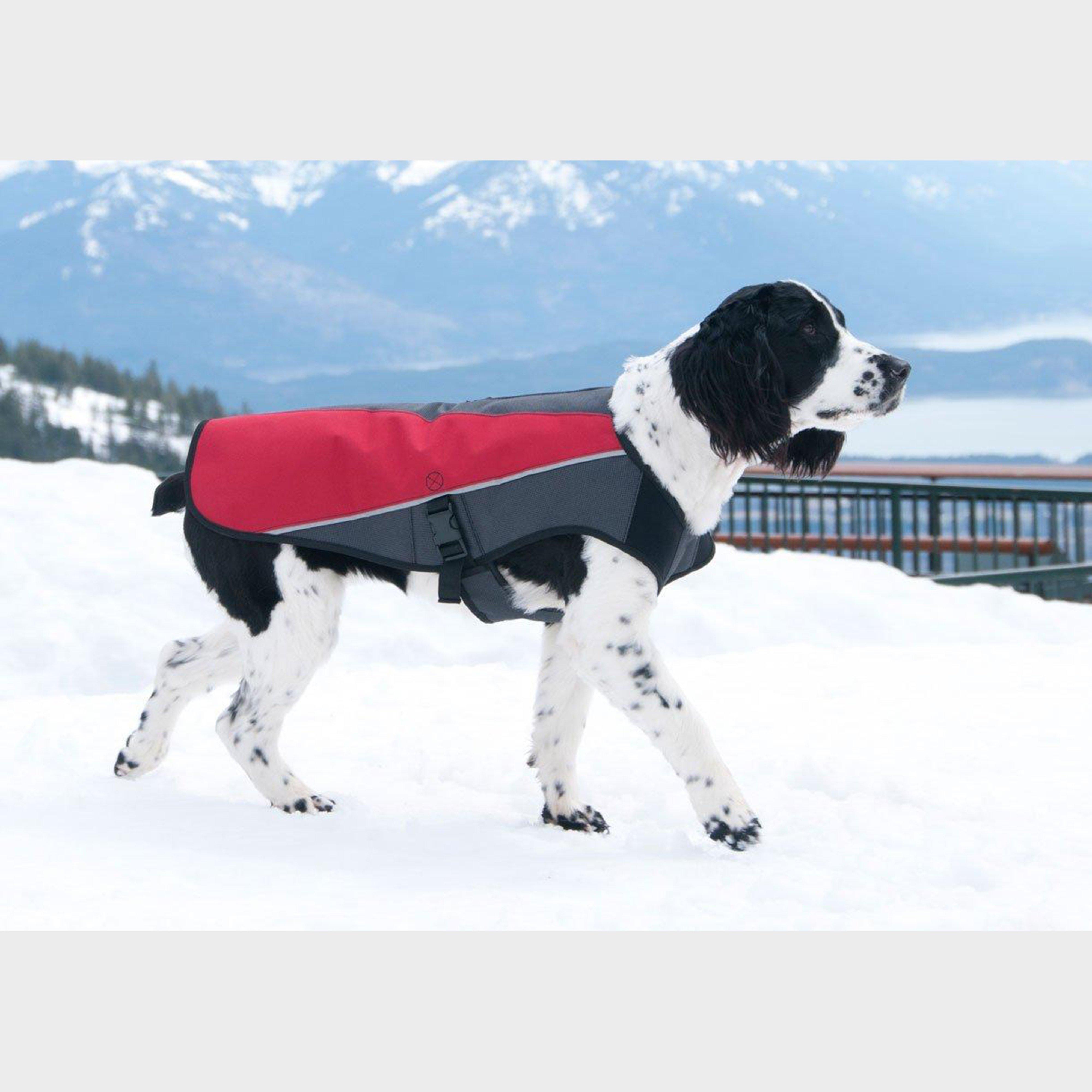 Element Dog Jacket Red/Grey Small