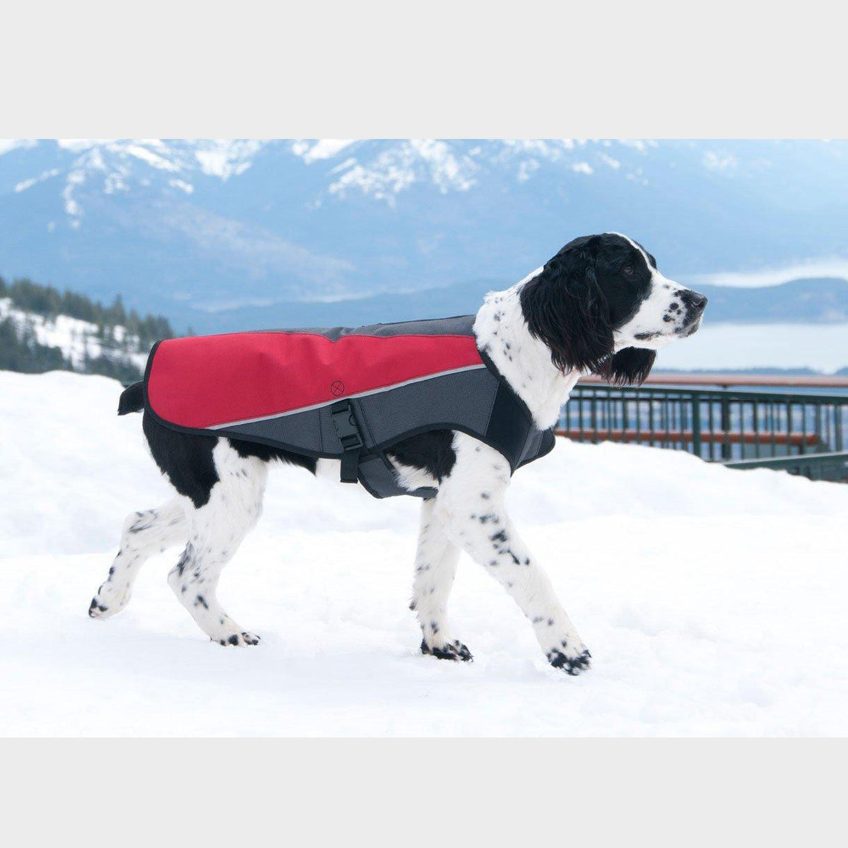 Element Dog Jacket Red/Grey Large
