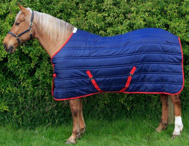 Thomas 250G Standard Neck Stable Rug Navy