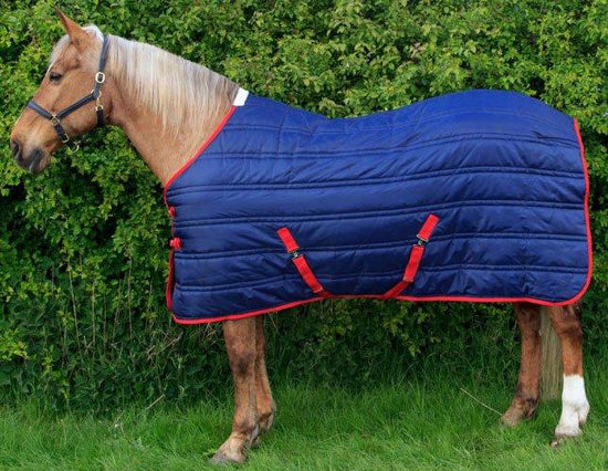 Thomas 250G Standard Neck Stable Rug Navy