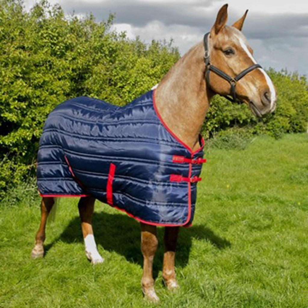 Thomas 250G Standard Neck Stable Rug Navy