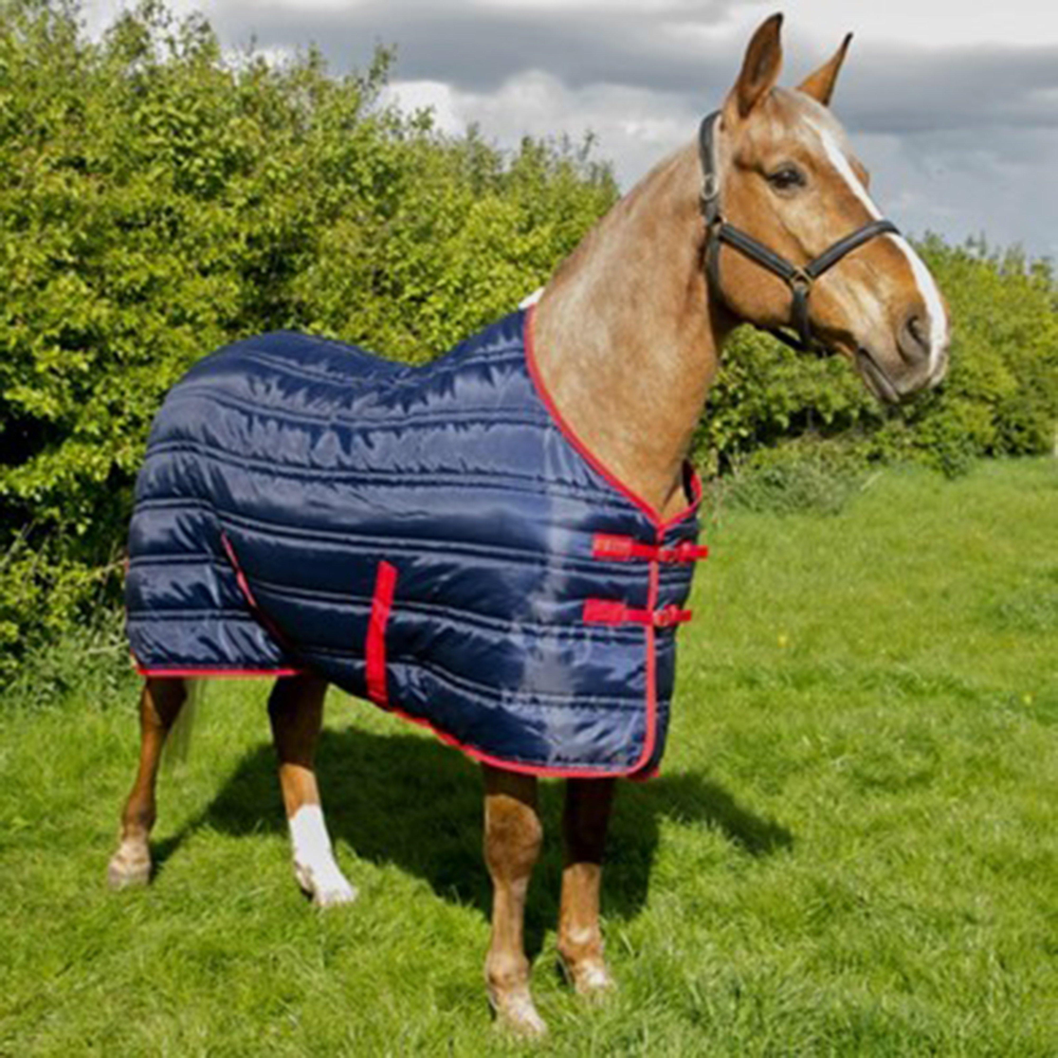 Thomas 250G Standard Neck Stable Rug Navy