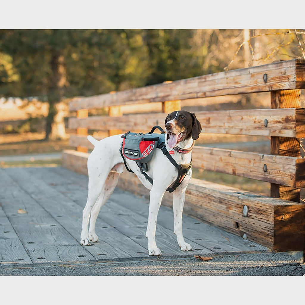 Summit Backpack Red/Grey Medium