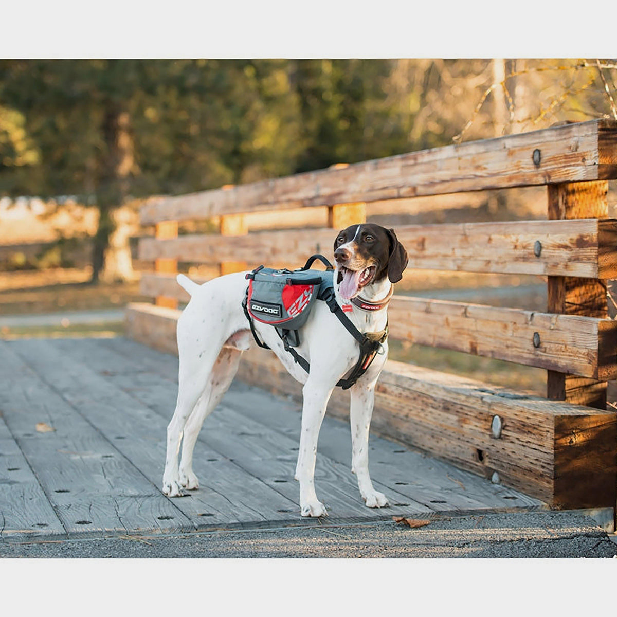 Summit Backpack Red/Grey Medium