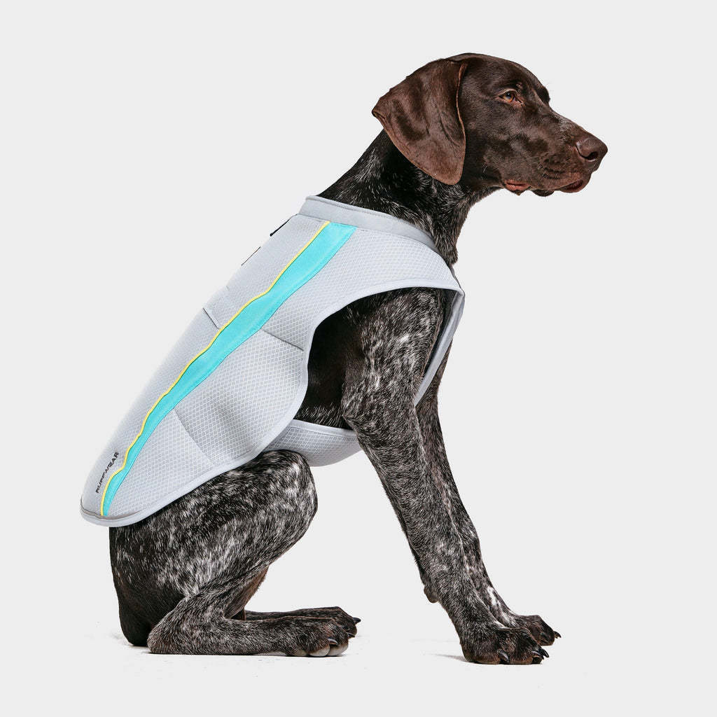 Swamp Dog Cooling Vest Grey