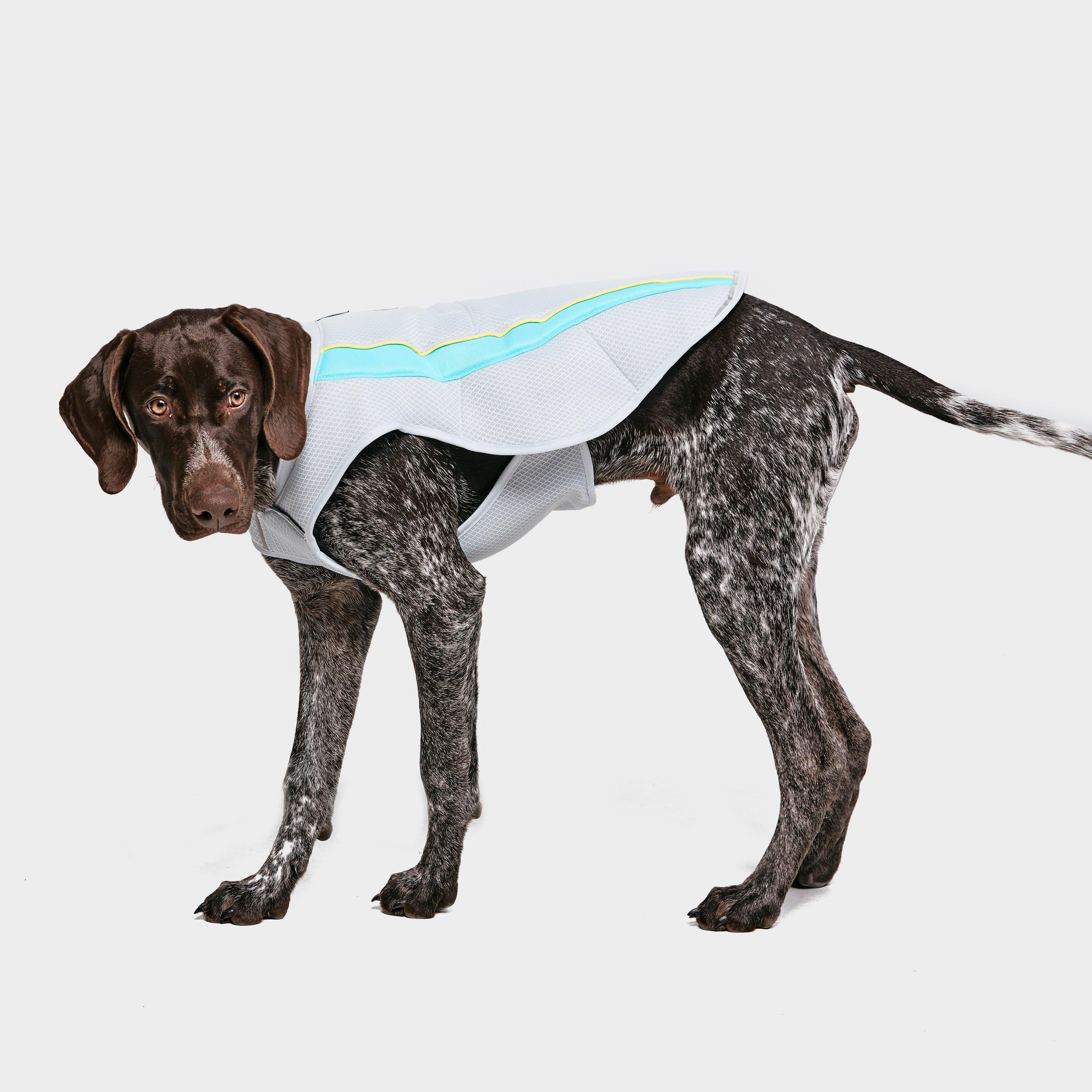 Swamp Dog Cooling Vest Grey
