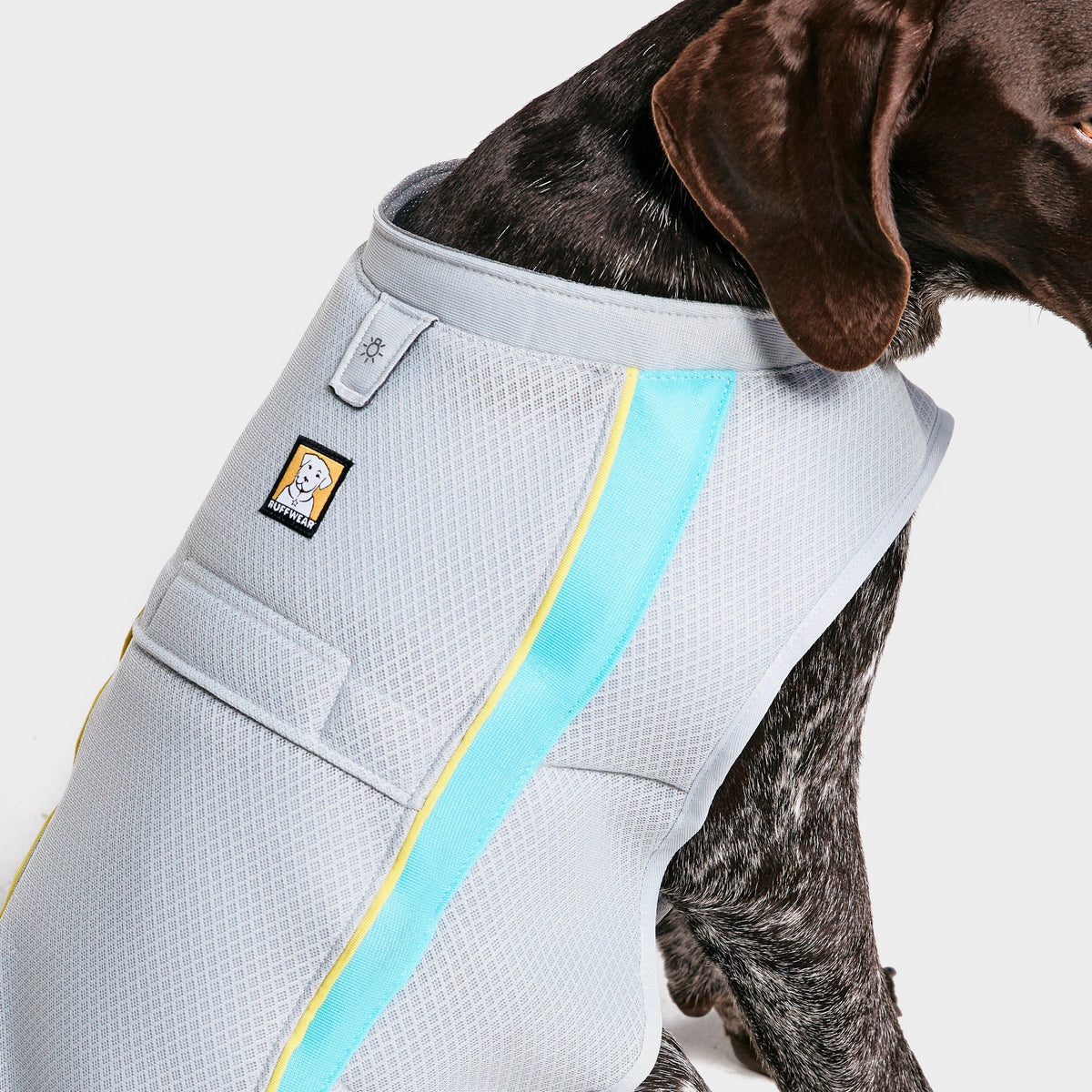 Swamp Dog Cooling Vest Grey