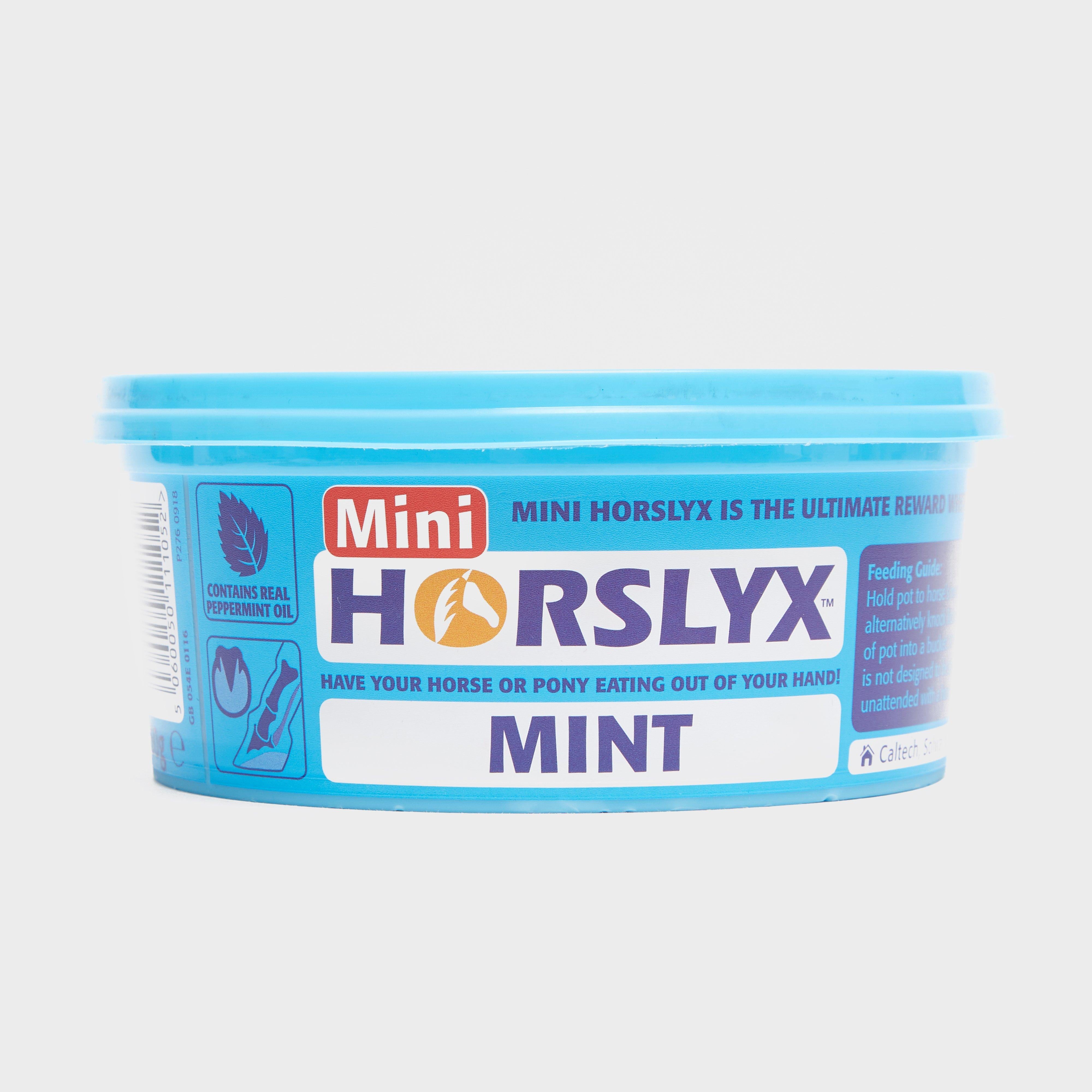 Mini Lick Mint