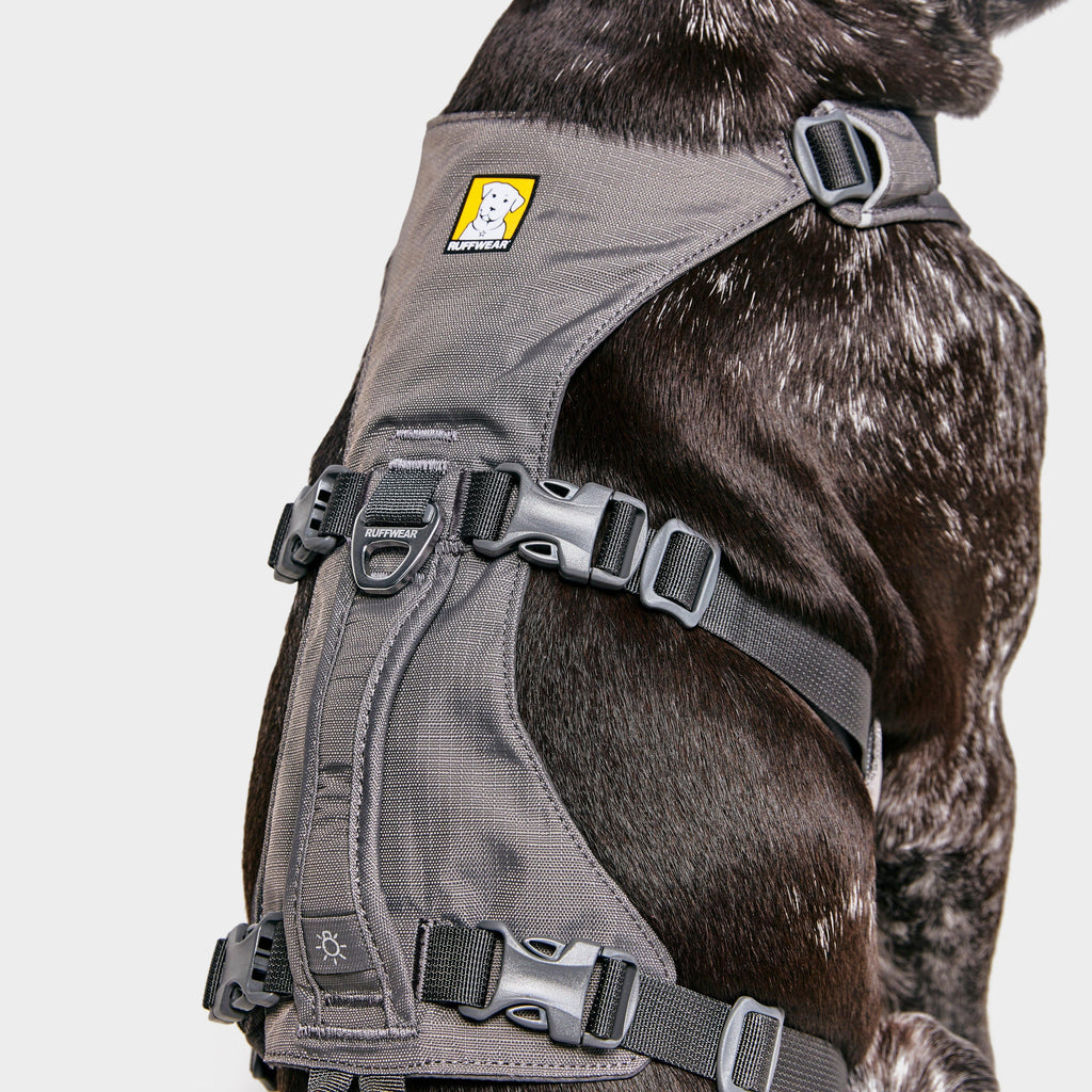 Flagline Dog Harness Grey