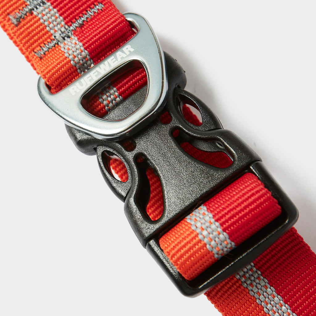 Crag™ Reflective Dog Collar Red