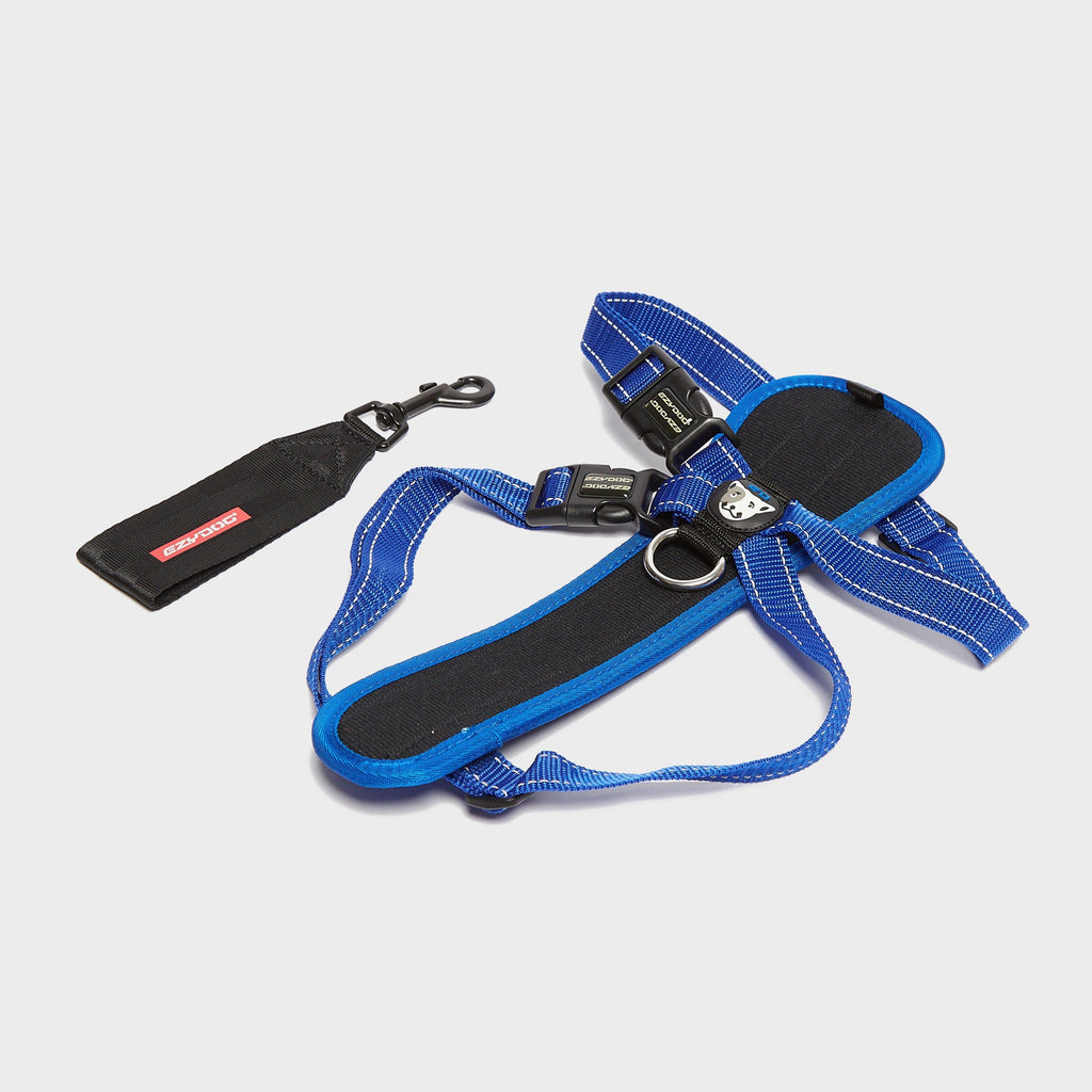 Chest Plate Harness Blue Extra Large