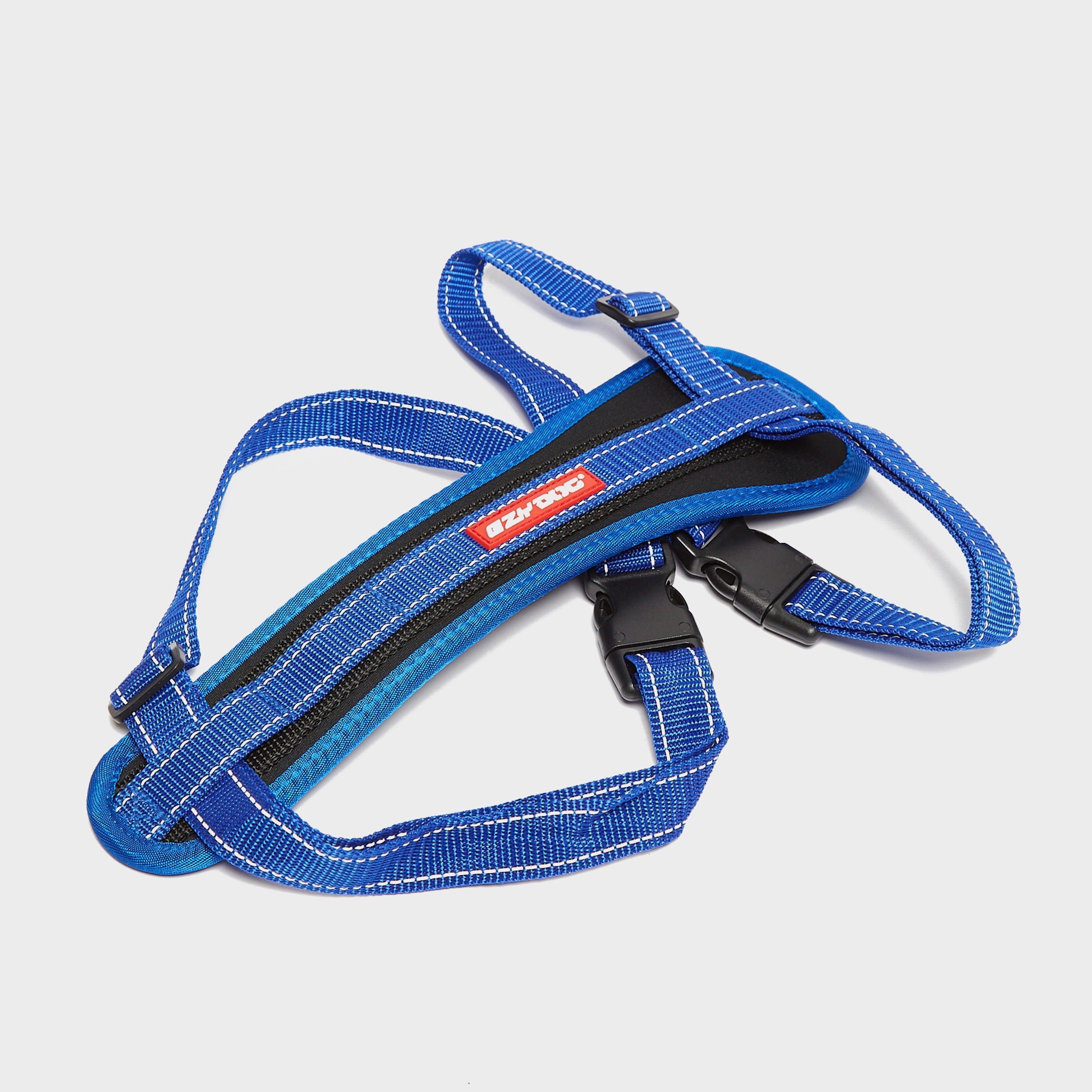 Chest Plate Harness Blue Extra Large