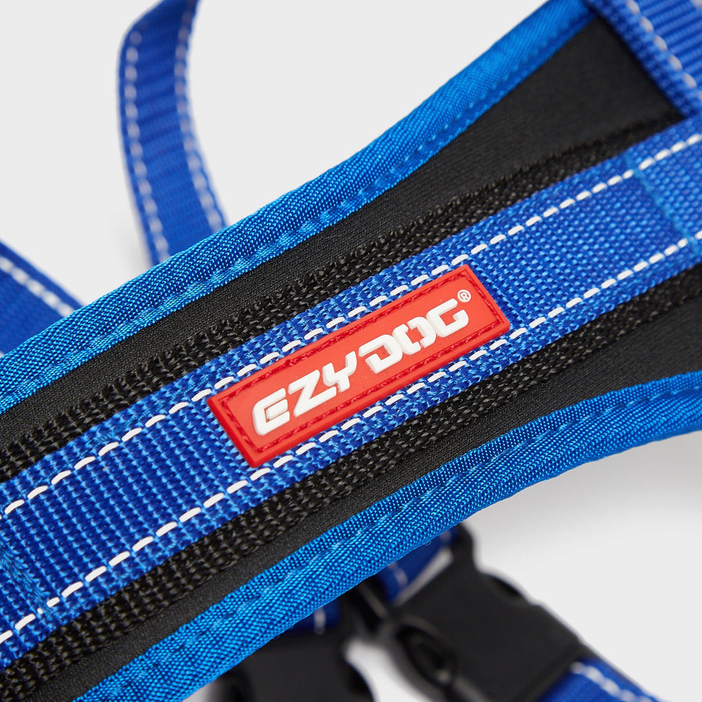 Chest Plate Harness Blue Extra Large