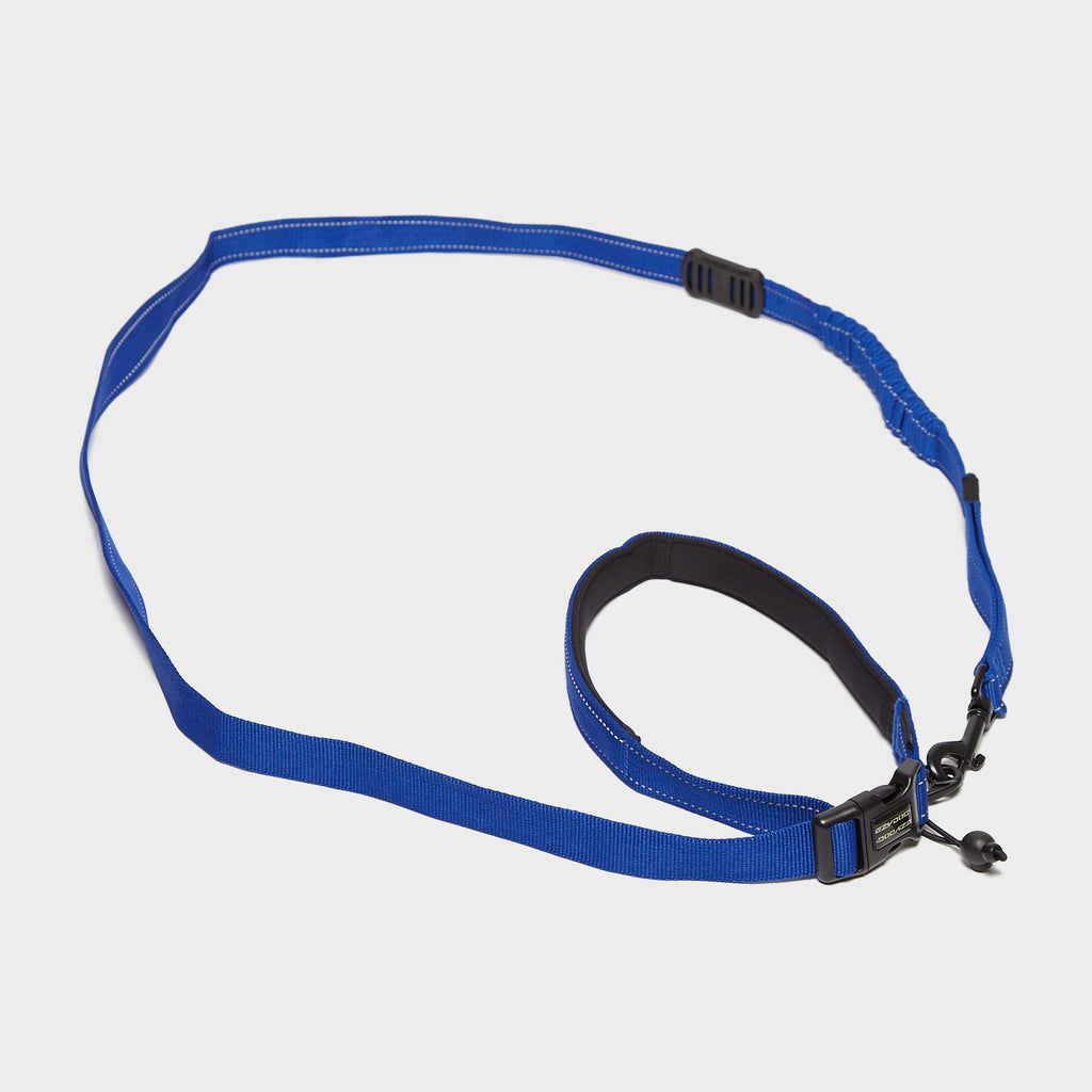 Road Runner Dog Lead Blue