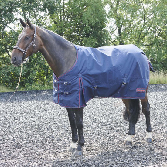 Rastrick Turnout Rug 200g Navy