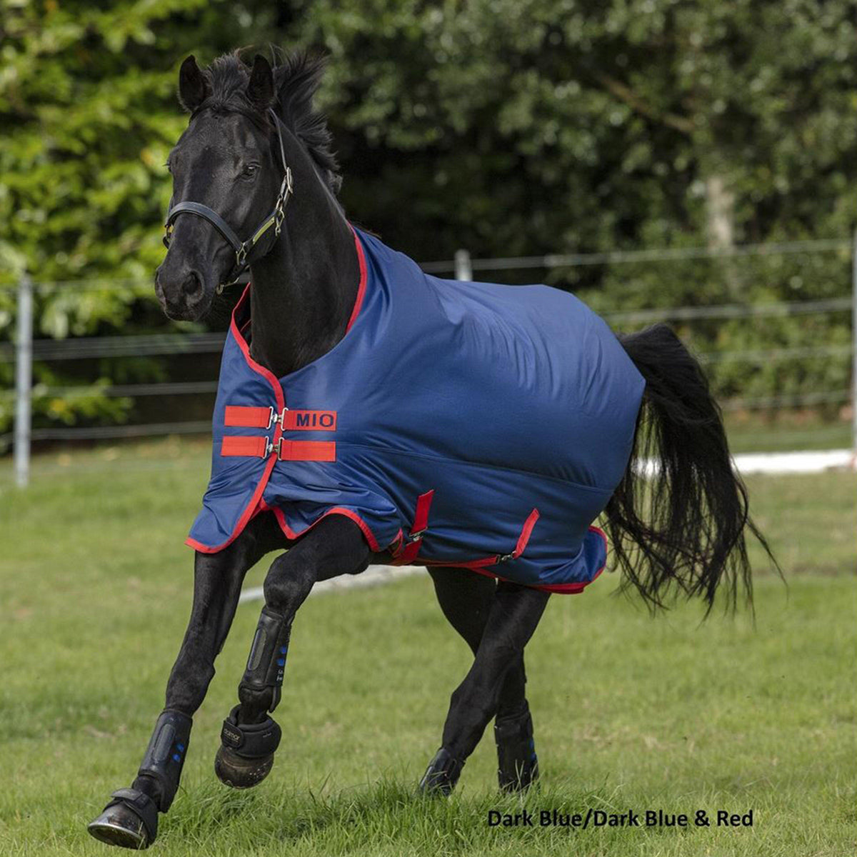 Mio Lite Standard 0g Turnout Rug Navy/Red