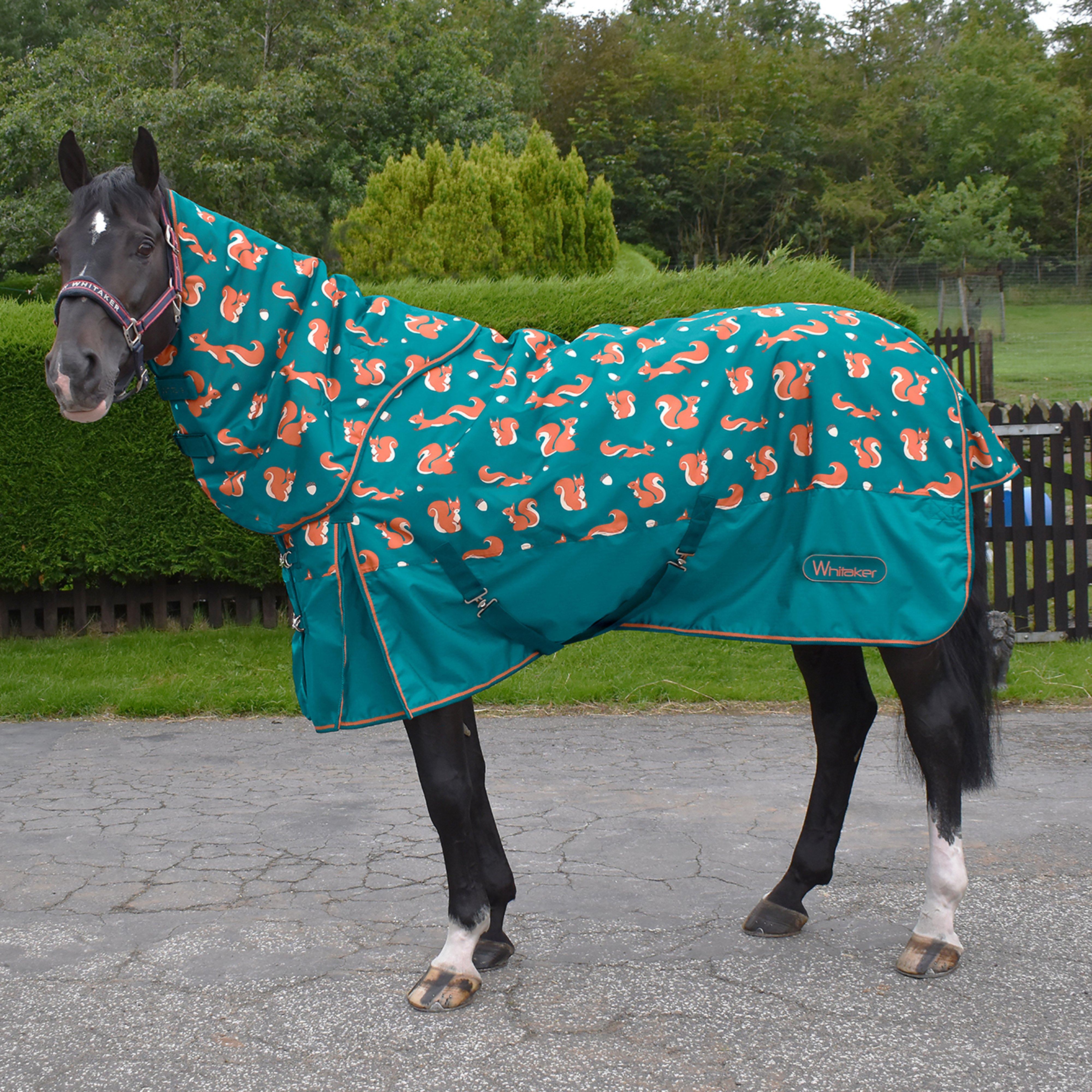 Knutsford Squirrel Combo 150g Turnout Rug Teal