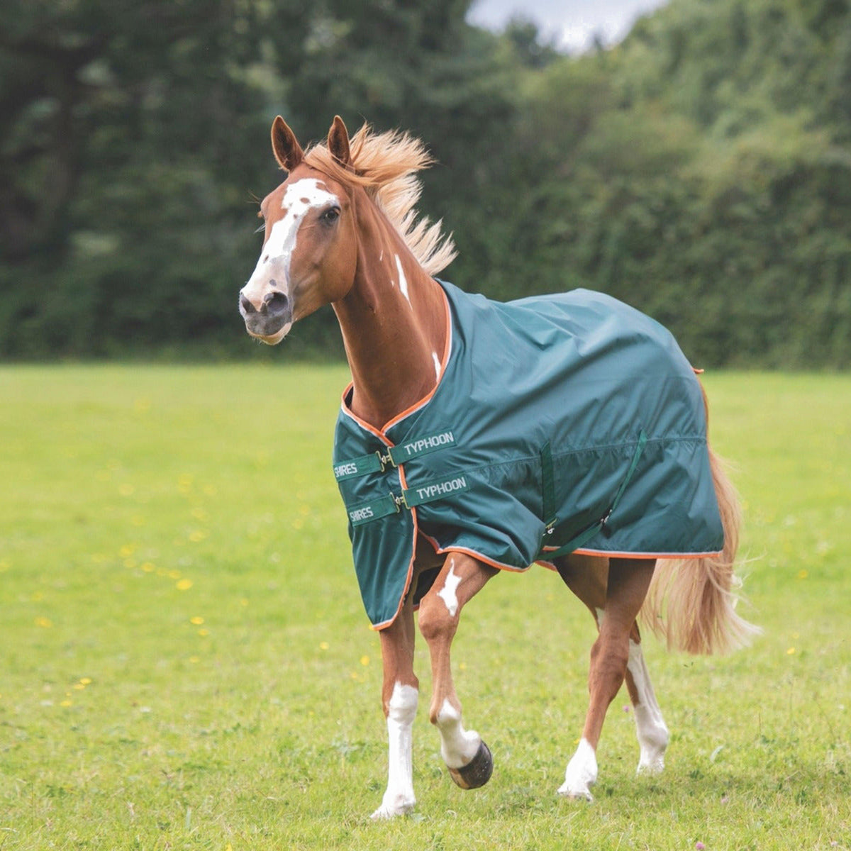 Typhoon Lite 0g Lightweight Standard Neck Turnout Rug Green