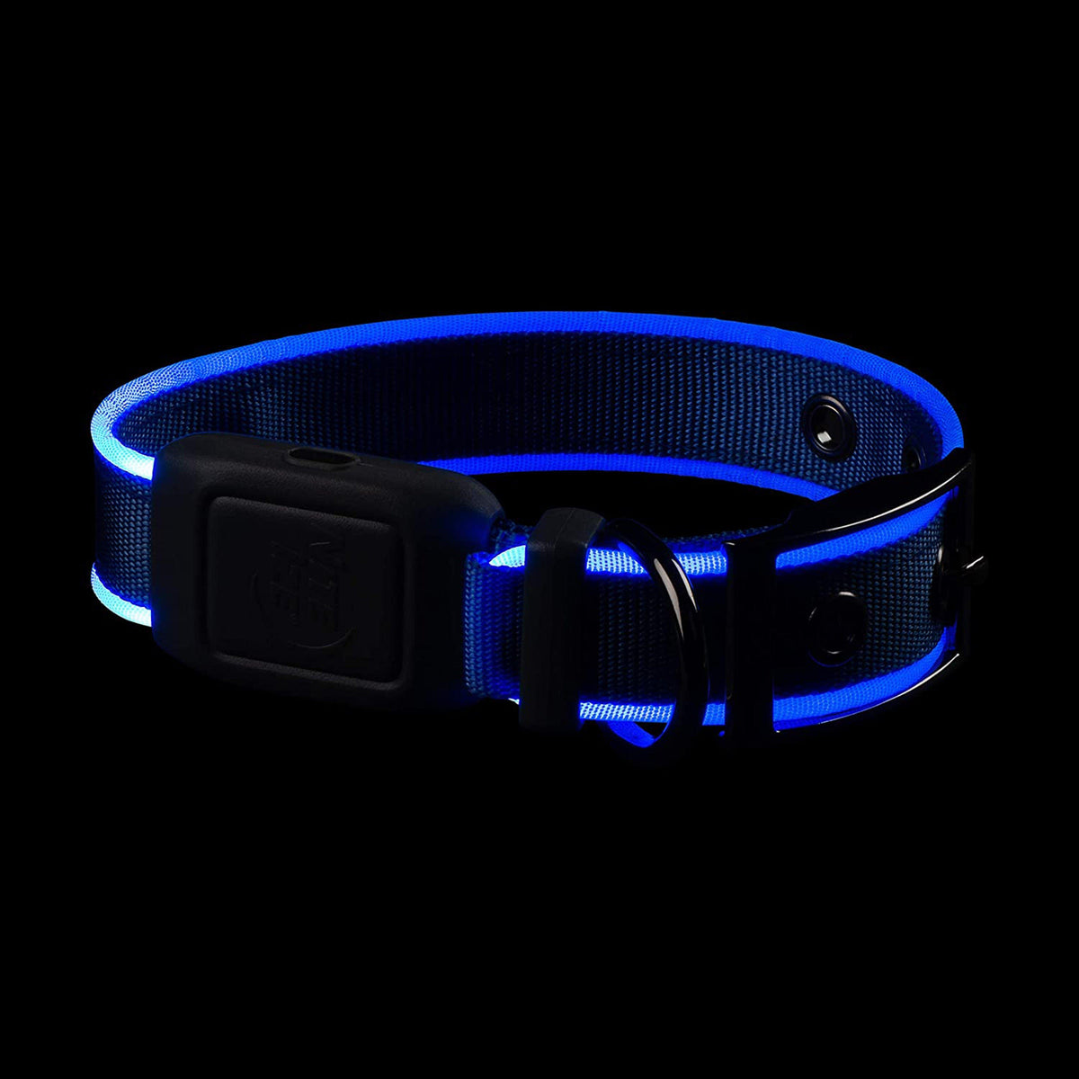 Nitedog® LED Rechargeable Collar Blue Small