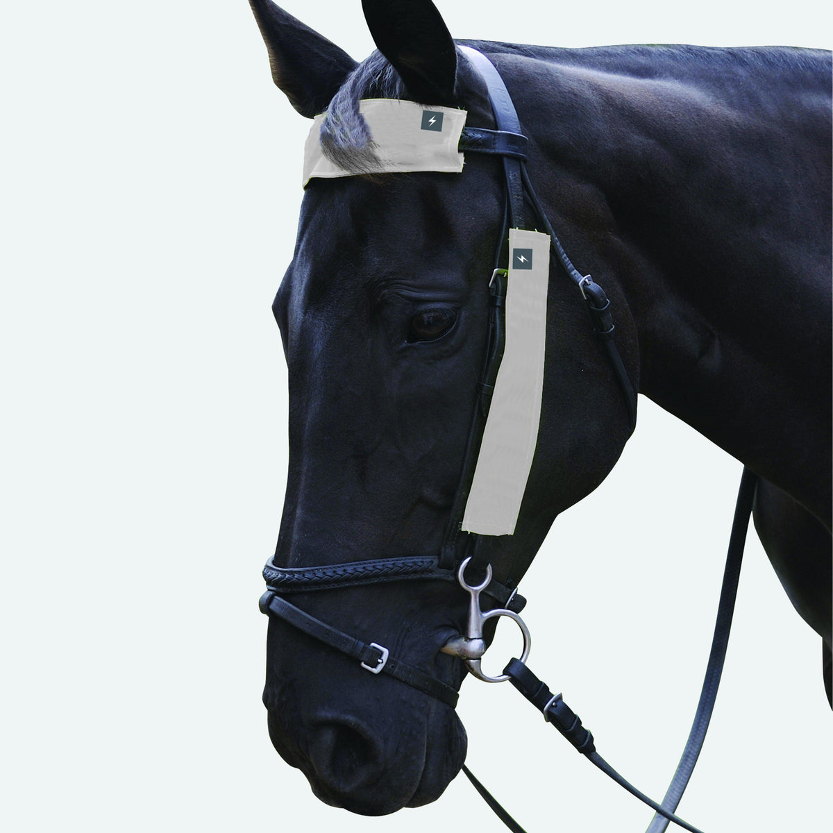 HyVIZ Bridle Set Silver