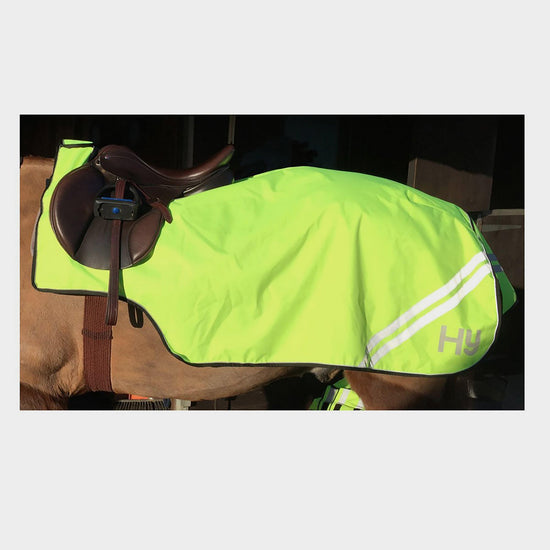 HyVIZ Reflective Exercise Sheet