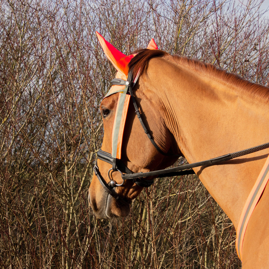 HyVIZ Bridle Set Orange