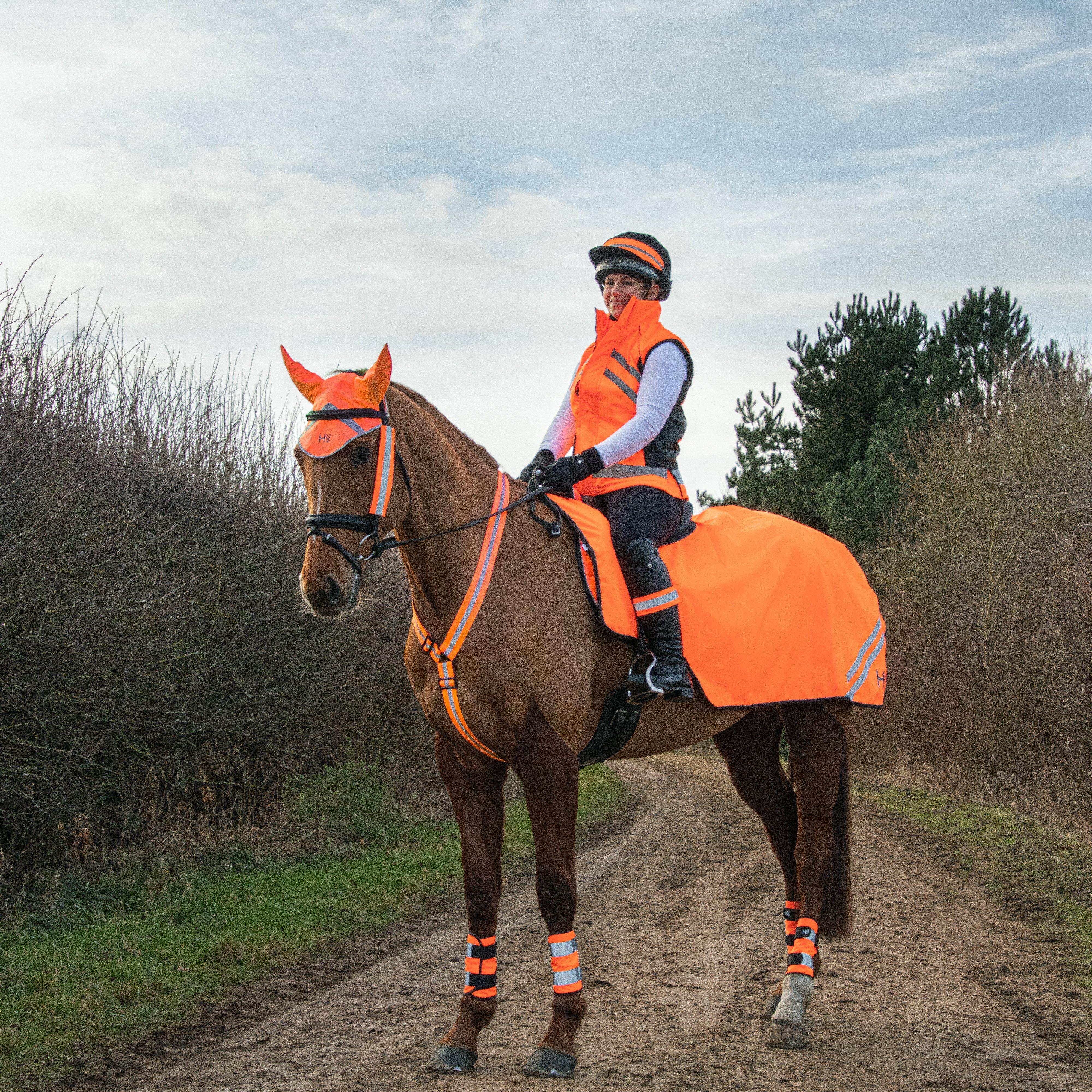 HyVIZ Bridle Set Orange