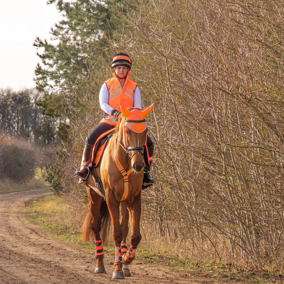 HyVIZ Bridle Set Orange