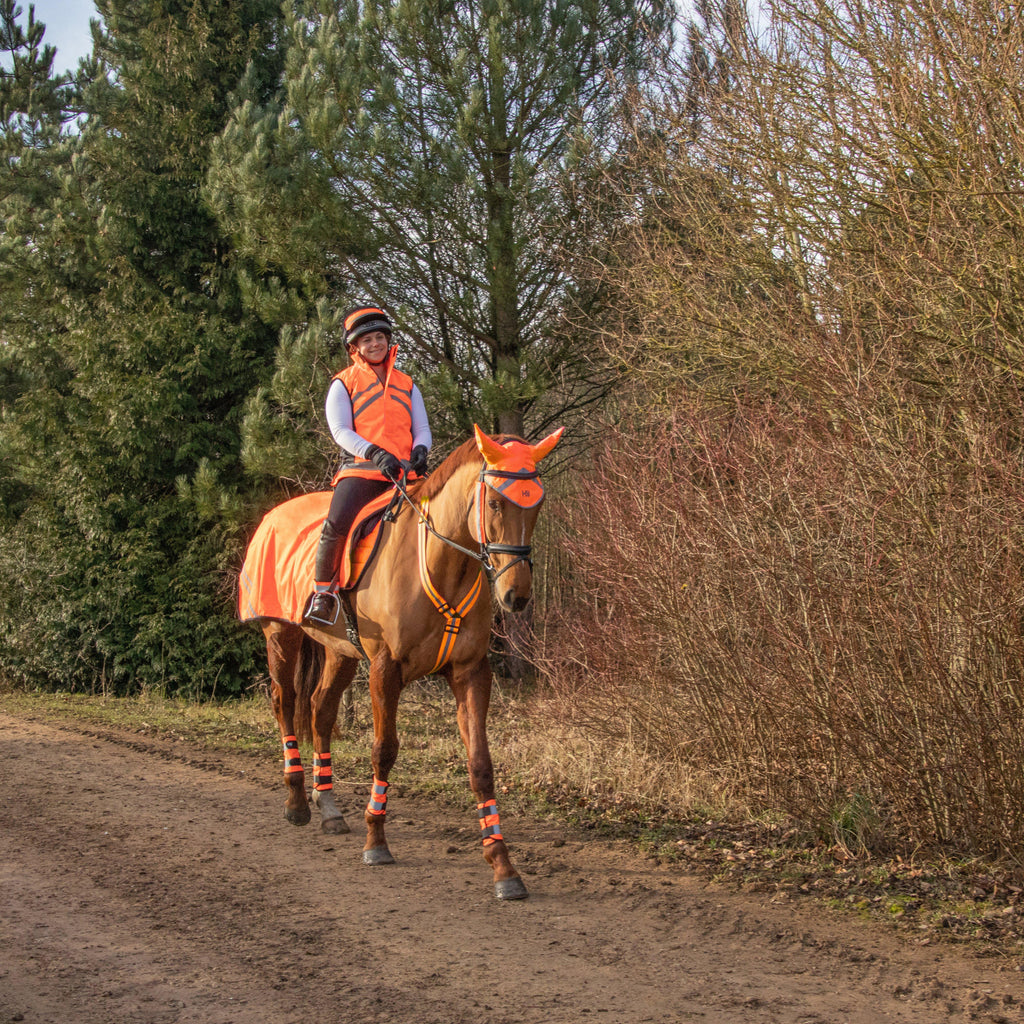 HyVIZ Bridle Set Orange