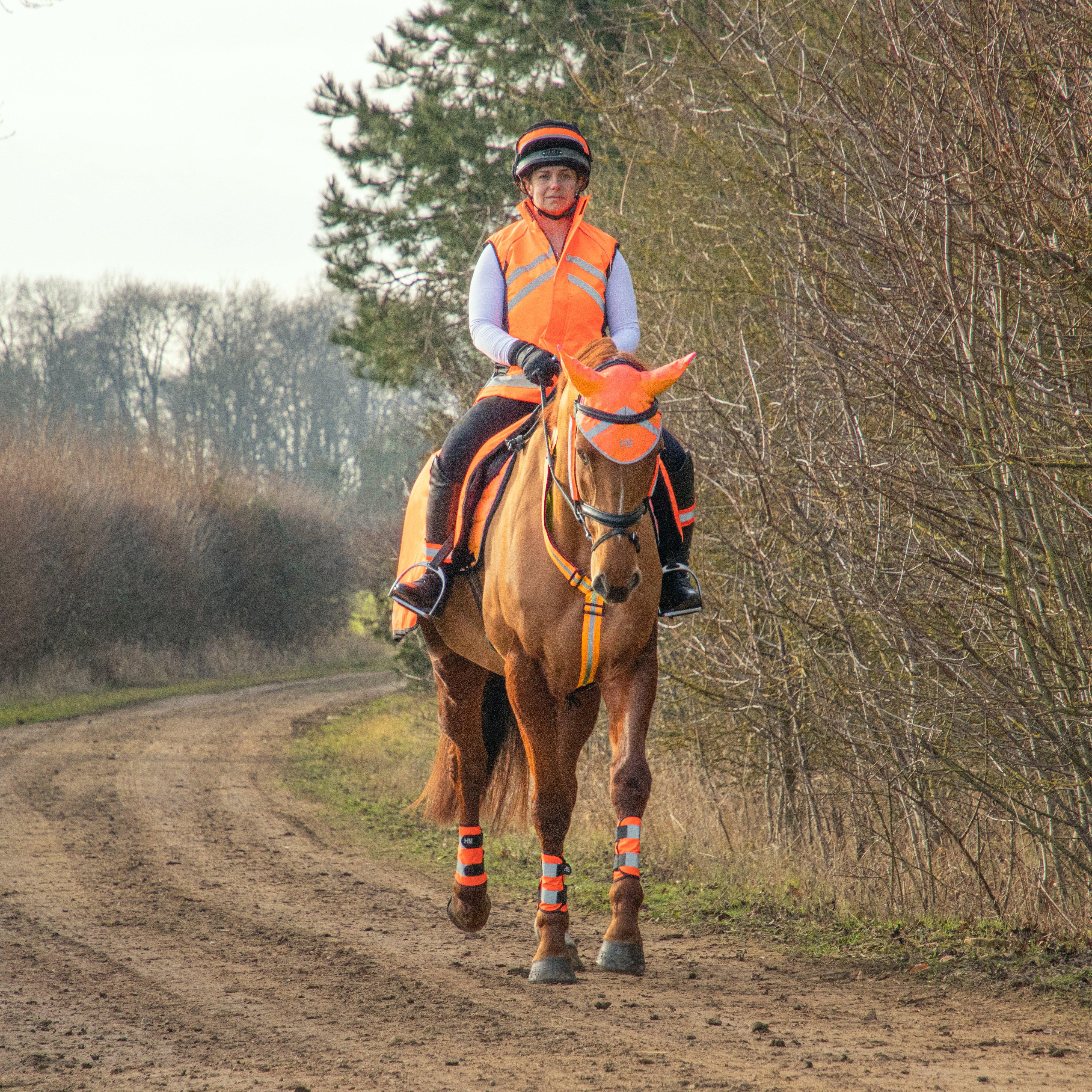 HyVIZ Bridle Set Orange