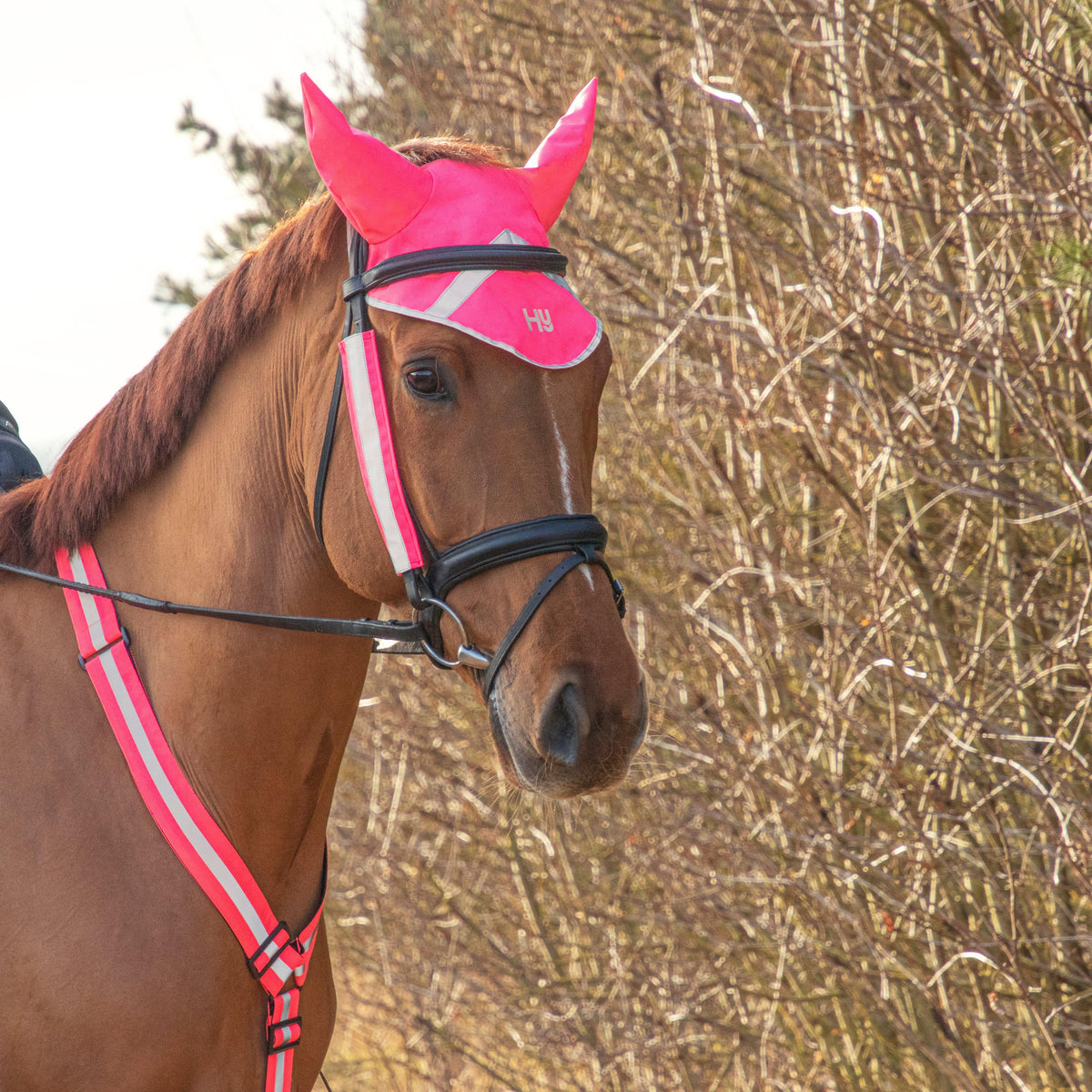 HyVIZ Bridle Set Pink