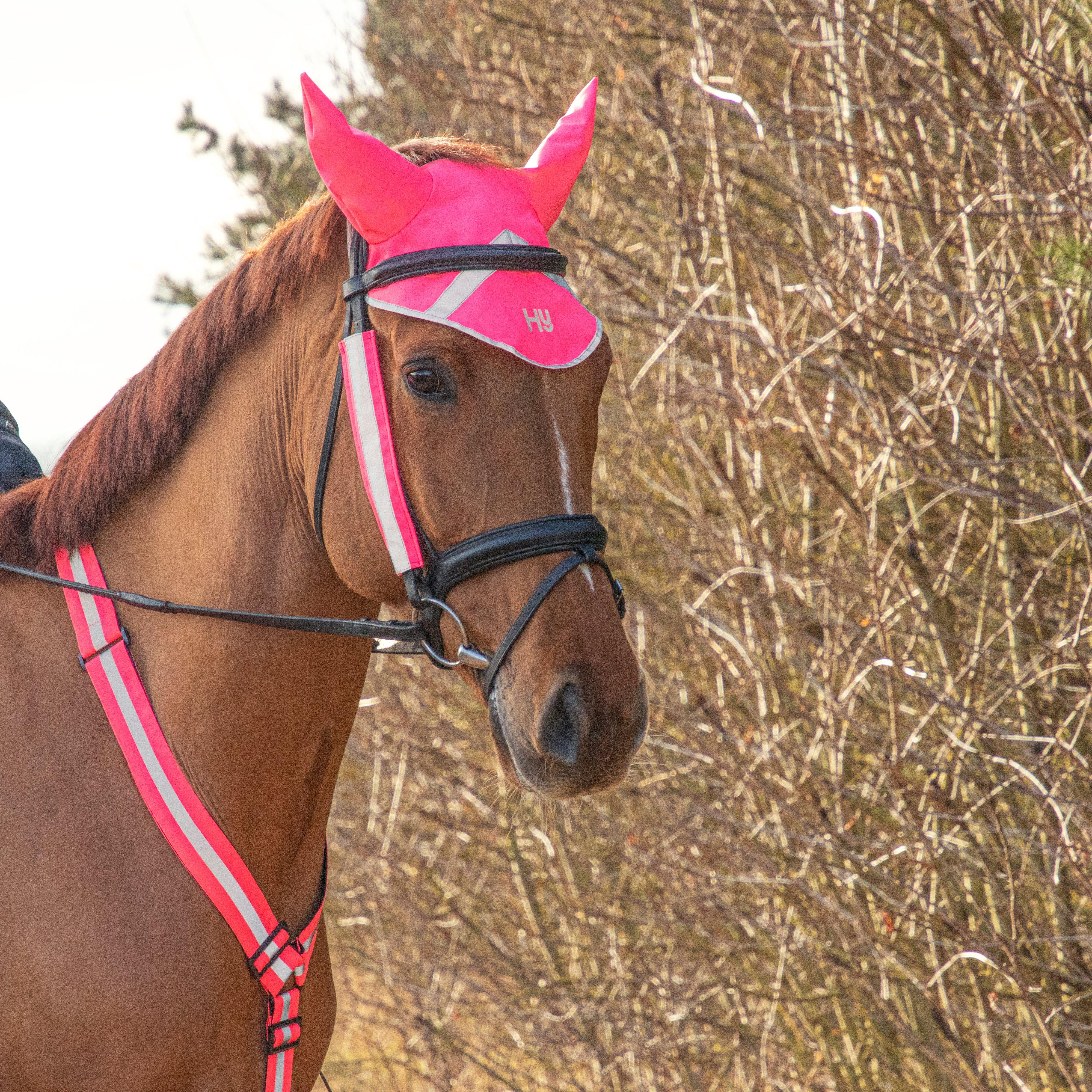 HyVIZ Bridle Set Pink