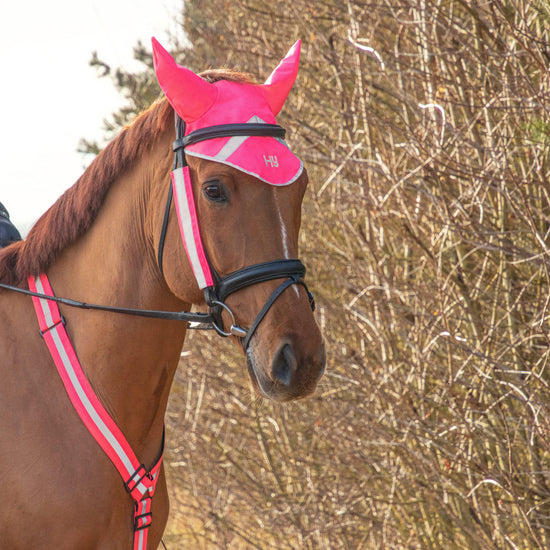 HyVIZ Bridle Set Pink