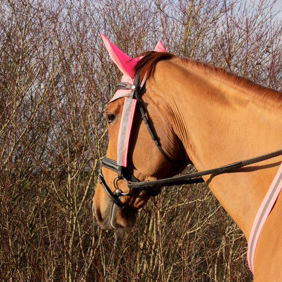 HyVIZ Bridle Set Pink
