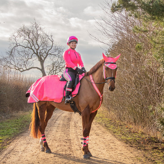 HyVIZ Bridle Set Pink