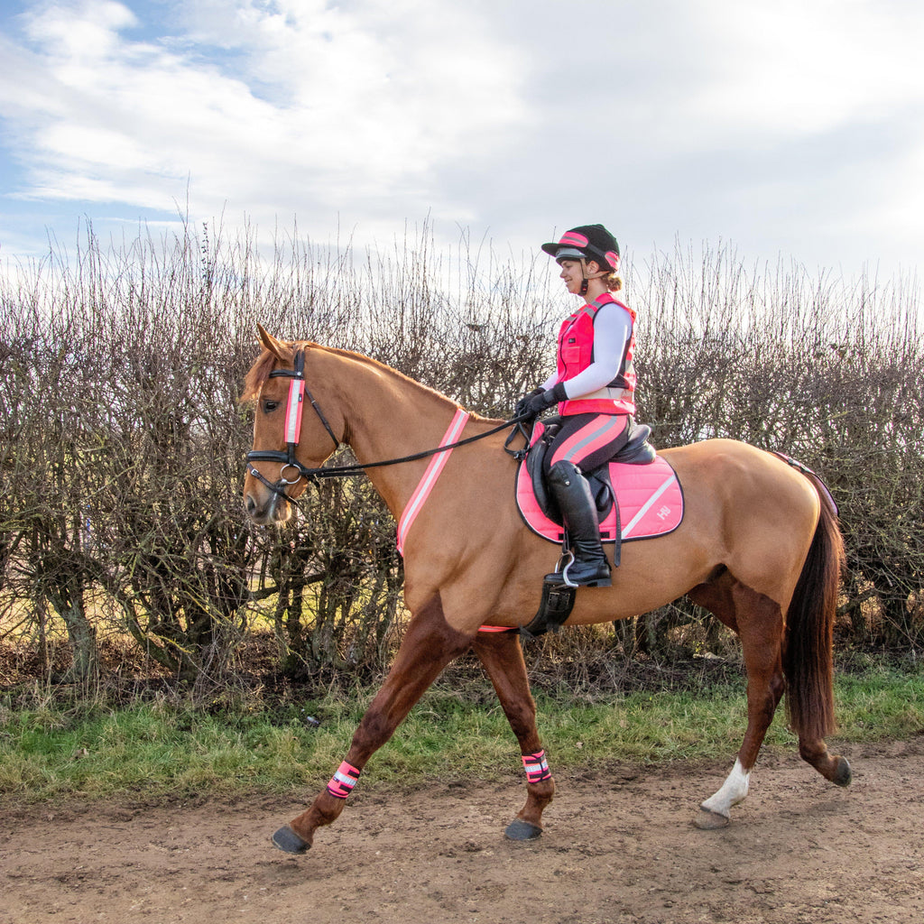 HyVIZ Bridle Set Pink