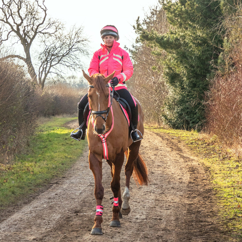 HyVIZ Bridle Set Pink
