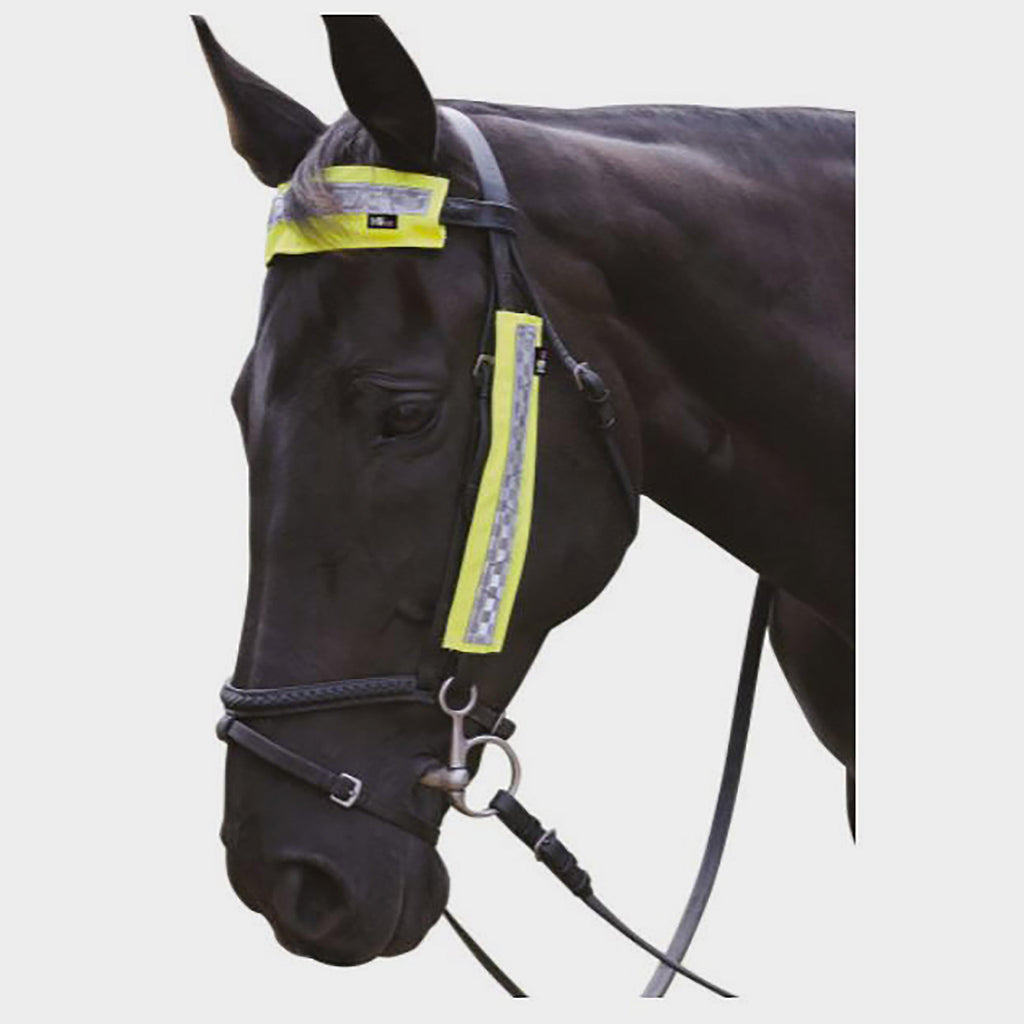 HyVIZ Bridle Set Yellow